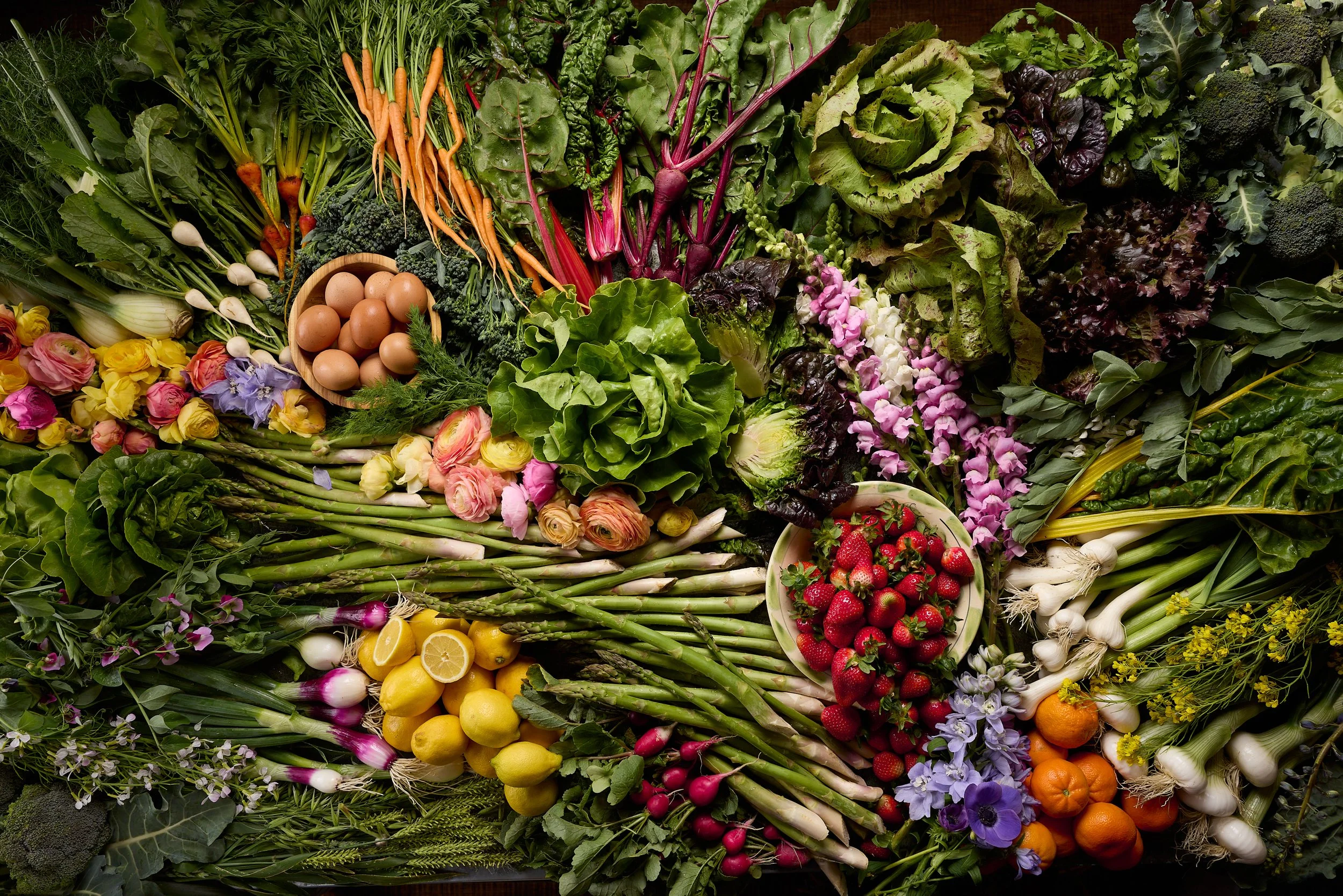 FULL-BELLY-Spring-Season-Harvest-034 1.jpg