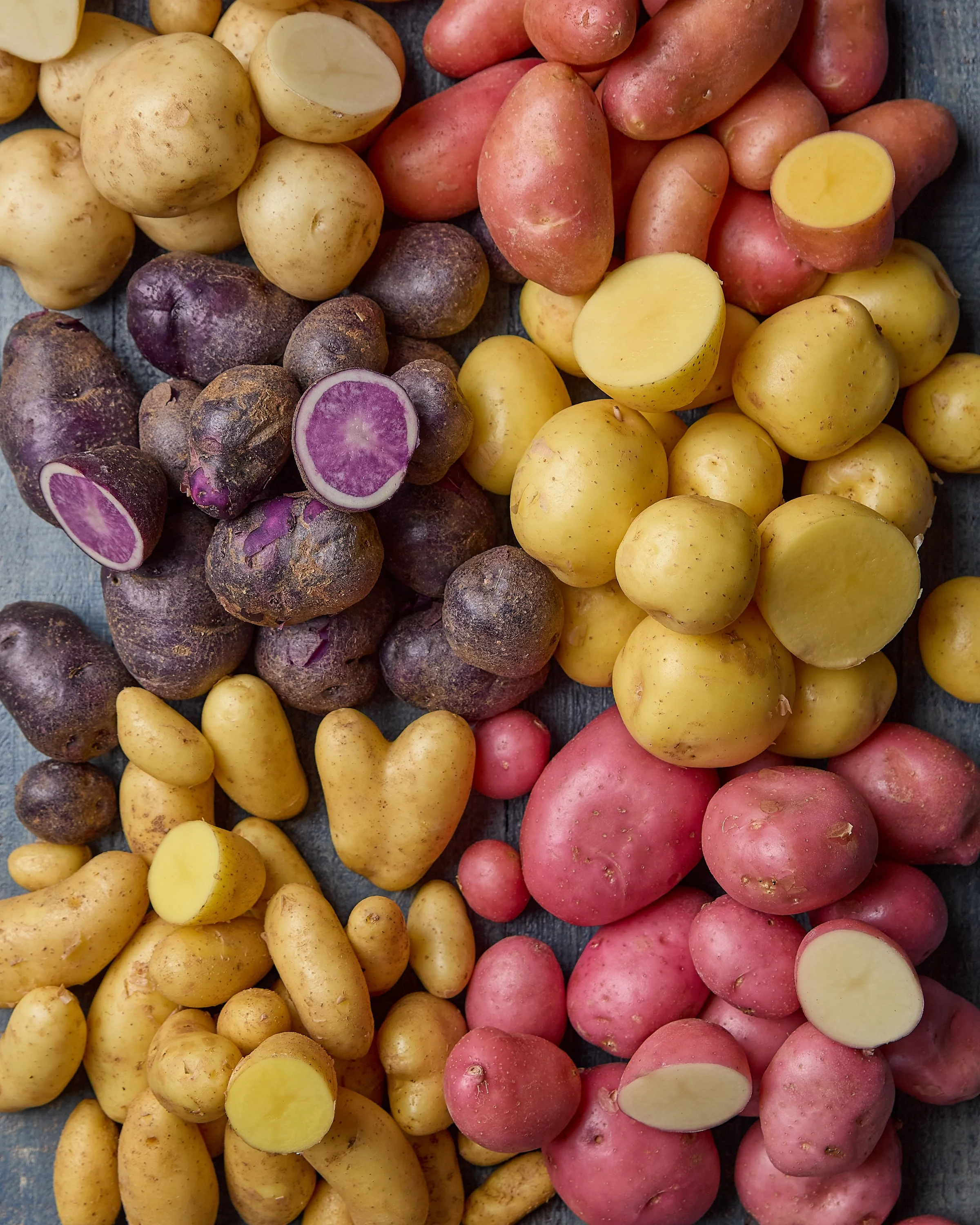 FULL-BELLY-Potato-Varieties-0110.jpg