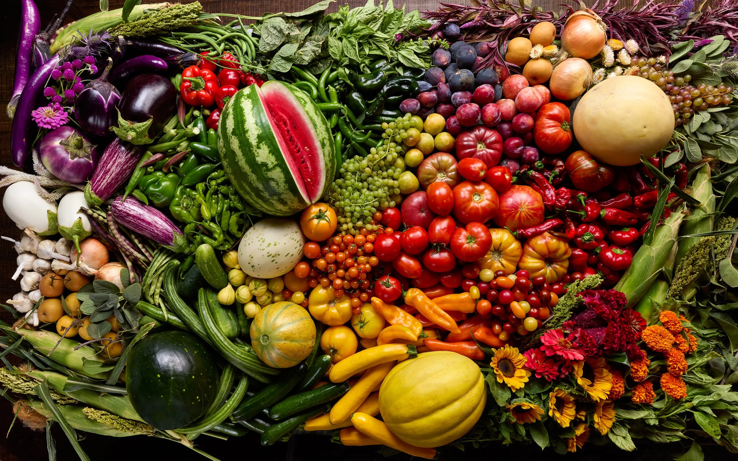 FULL-BELLY-Summer-Harvest-Laydown-0015 1.jpg