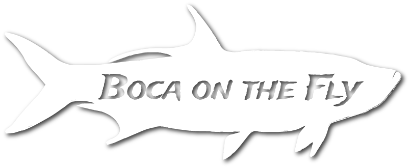 Boca on the Fly