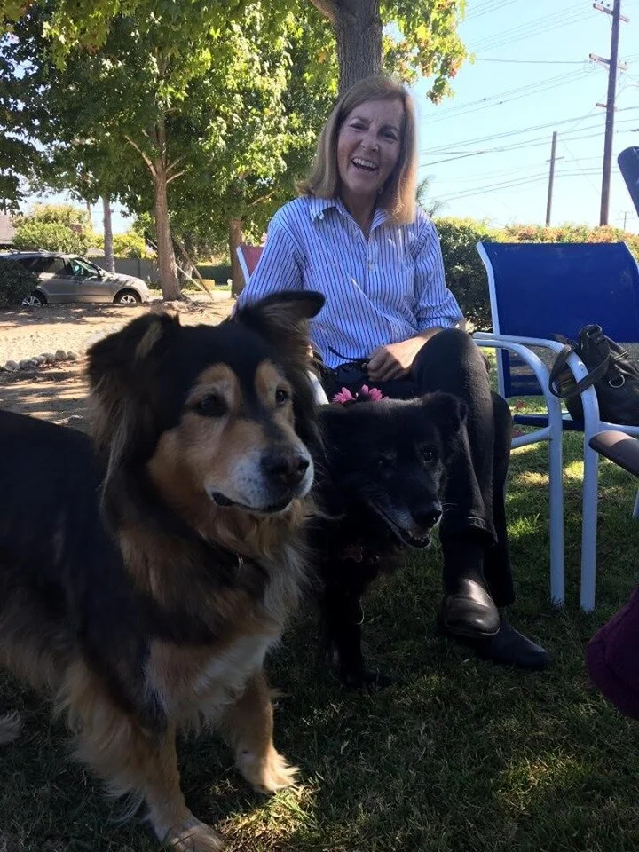 Blessing of the animals 2019