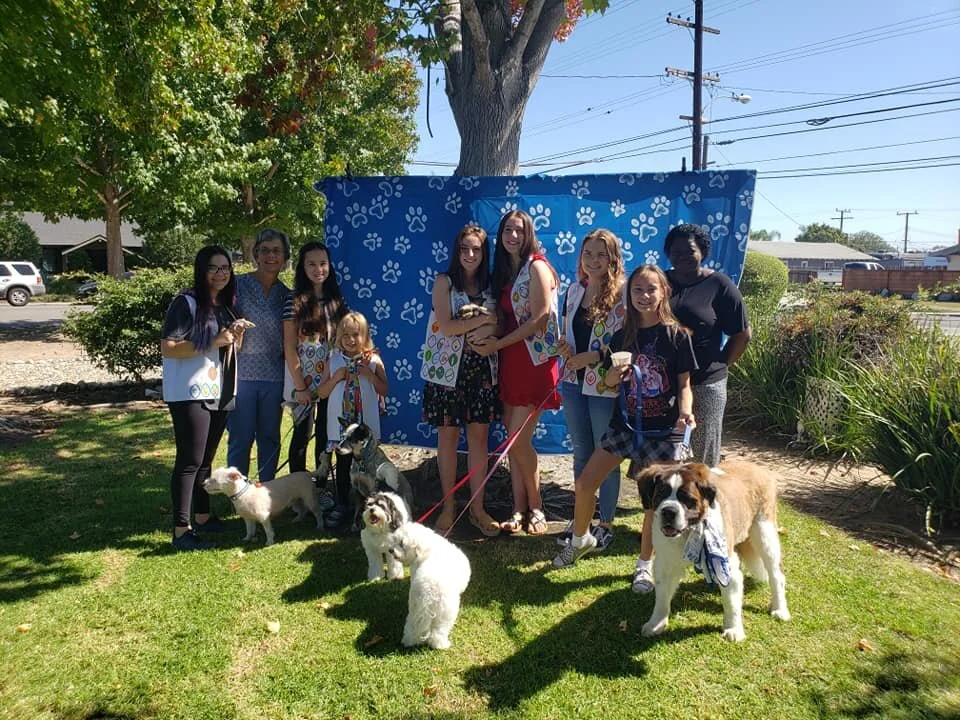 Blessing of the animals 2019
