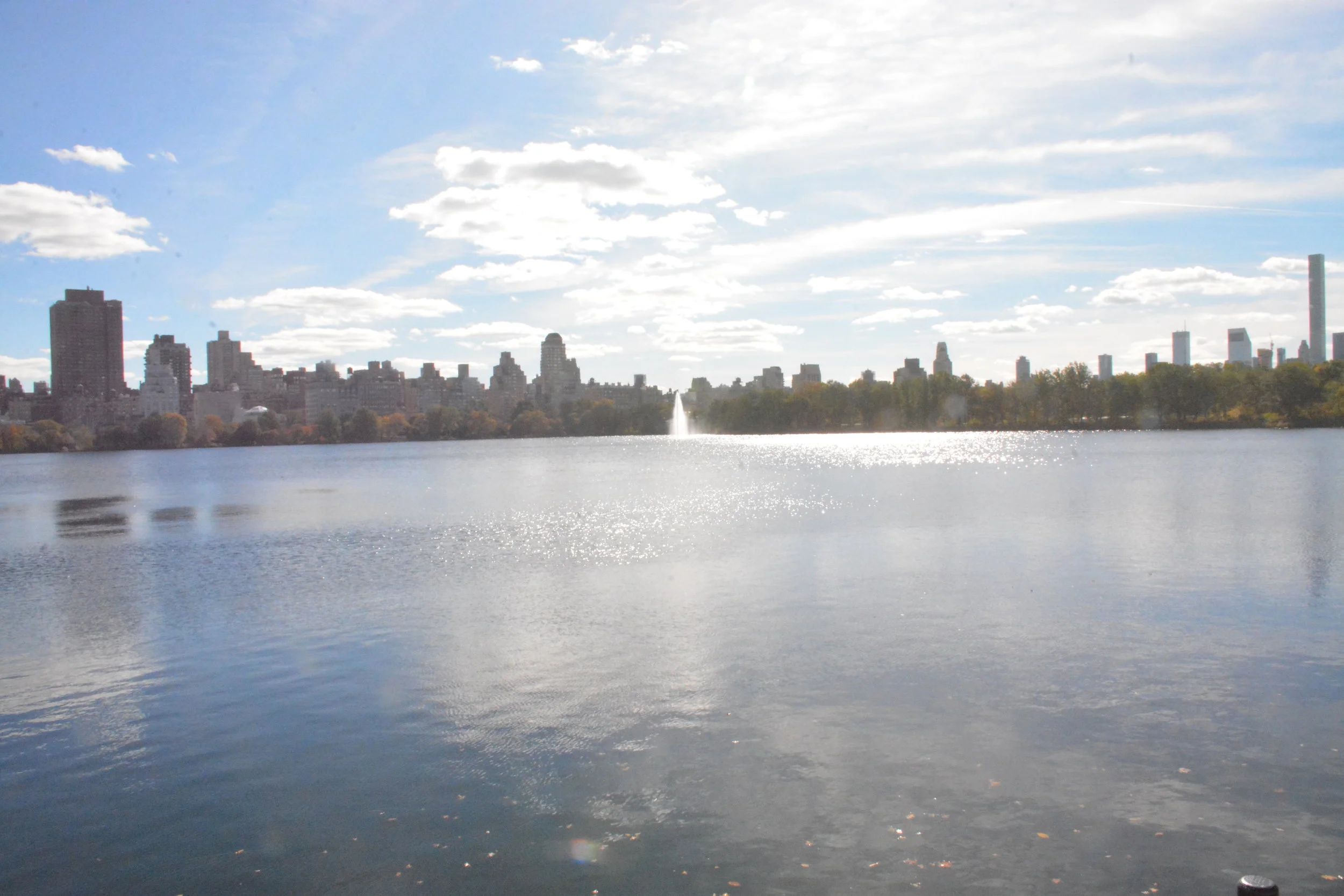 DSC_2050.JPG