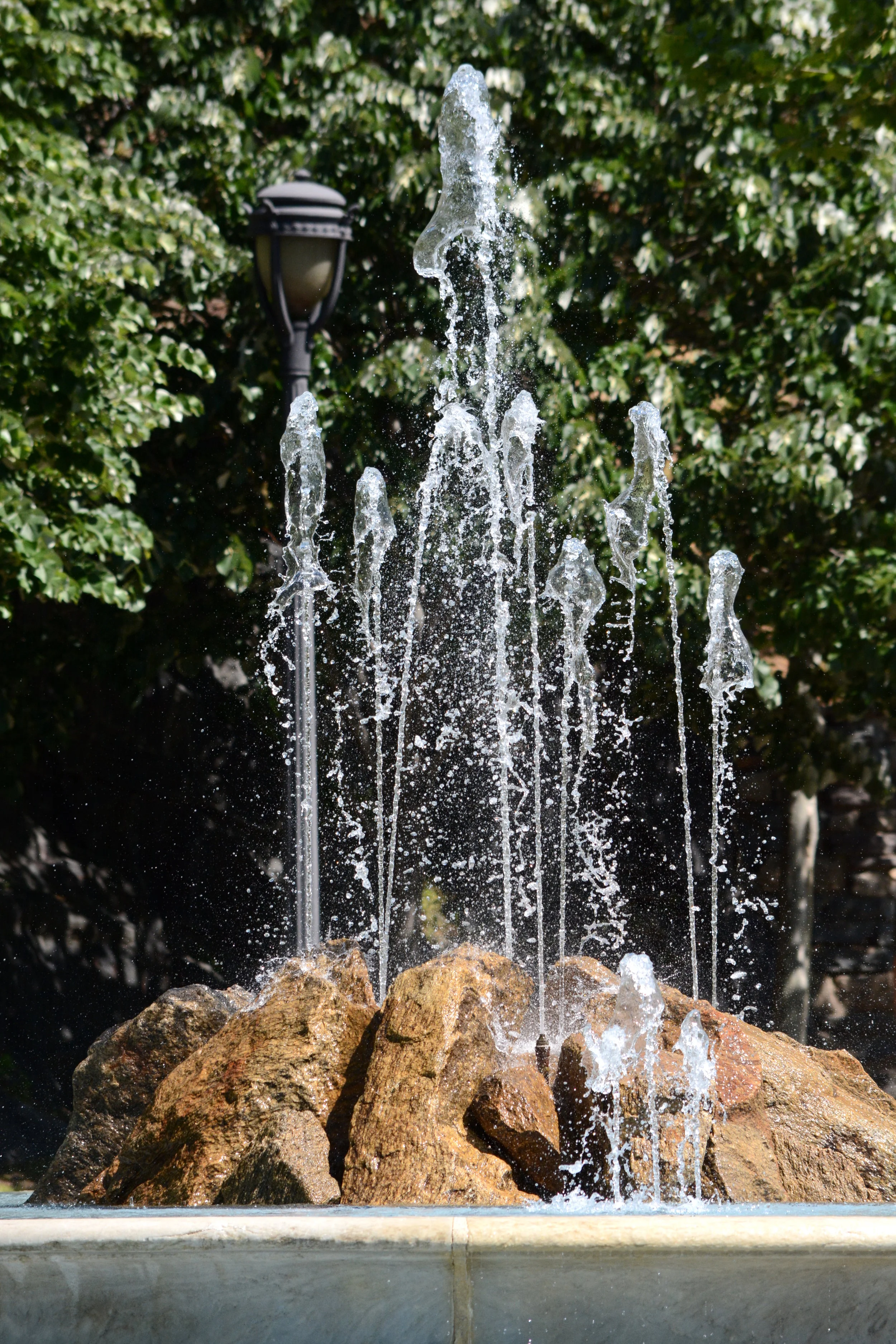 DSC_0559.JPG