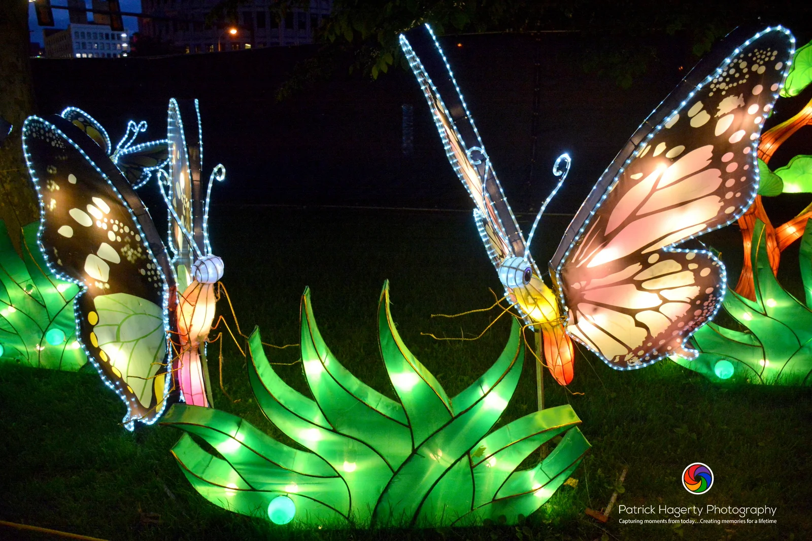 2017PCLF_PatrickHagertyPhotography (39).JPG