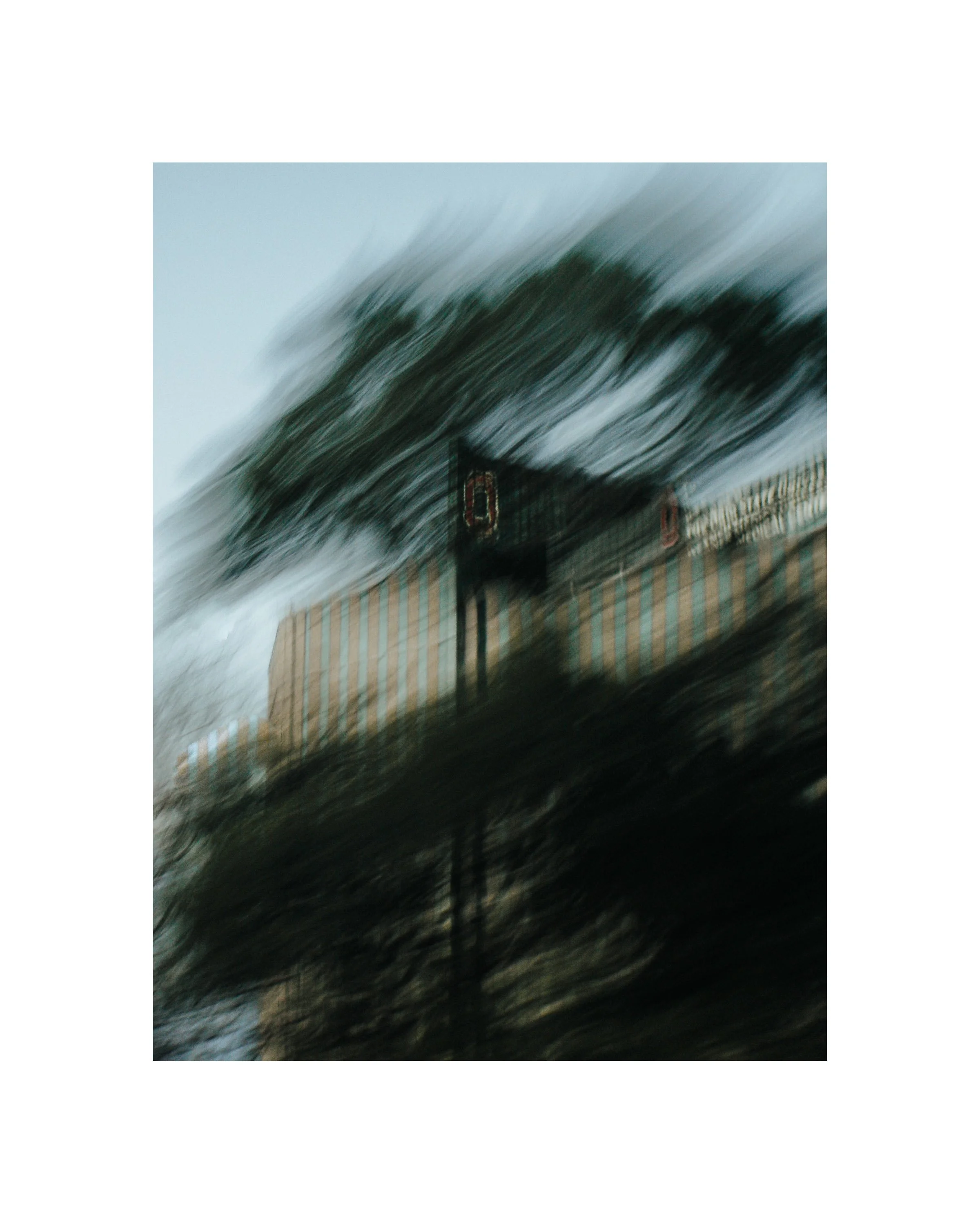 Sony 260619_21.jpg