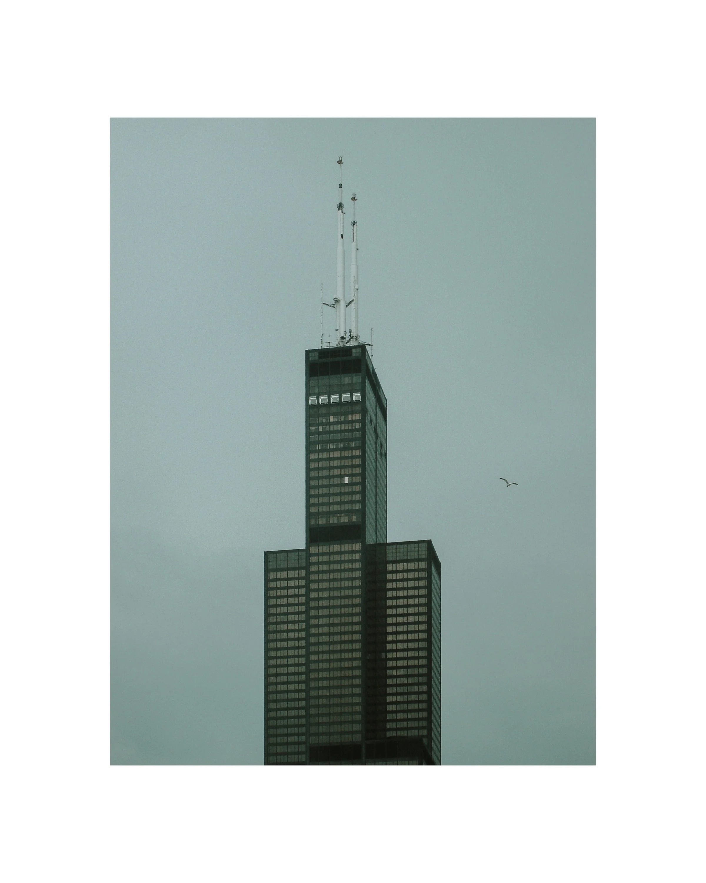 Sony 260805 UChicago_12.jpg