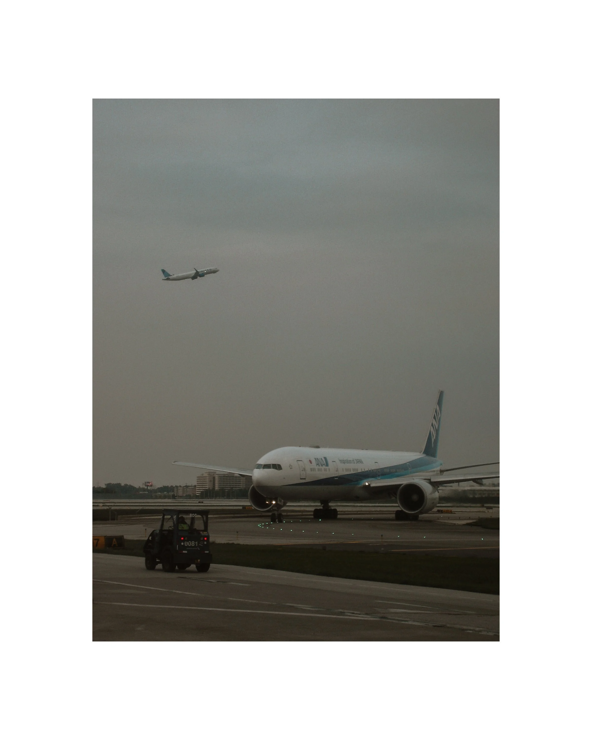 Sony 260806 Flying Home_.jpg