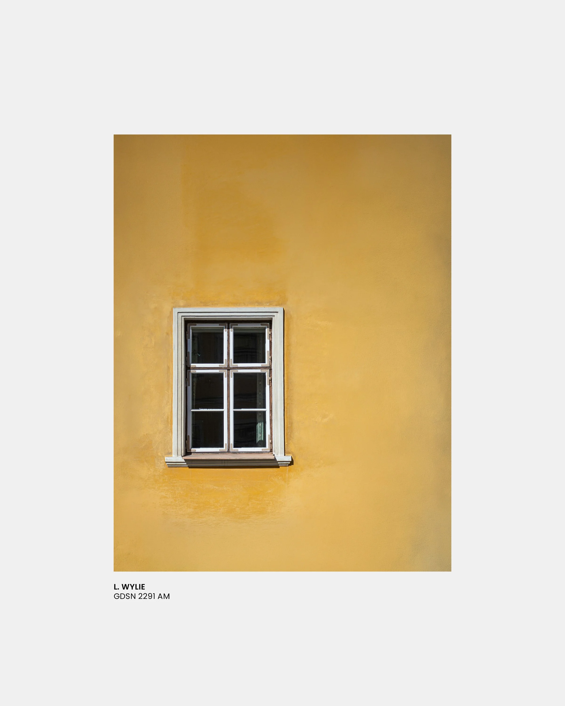 Windows Morning.jpg