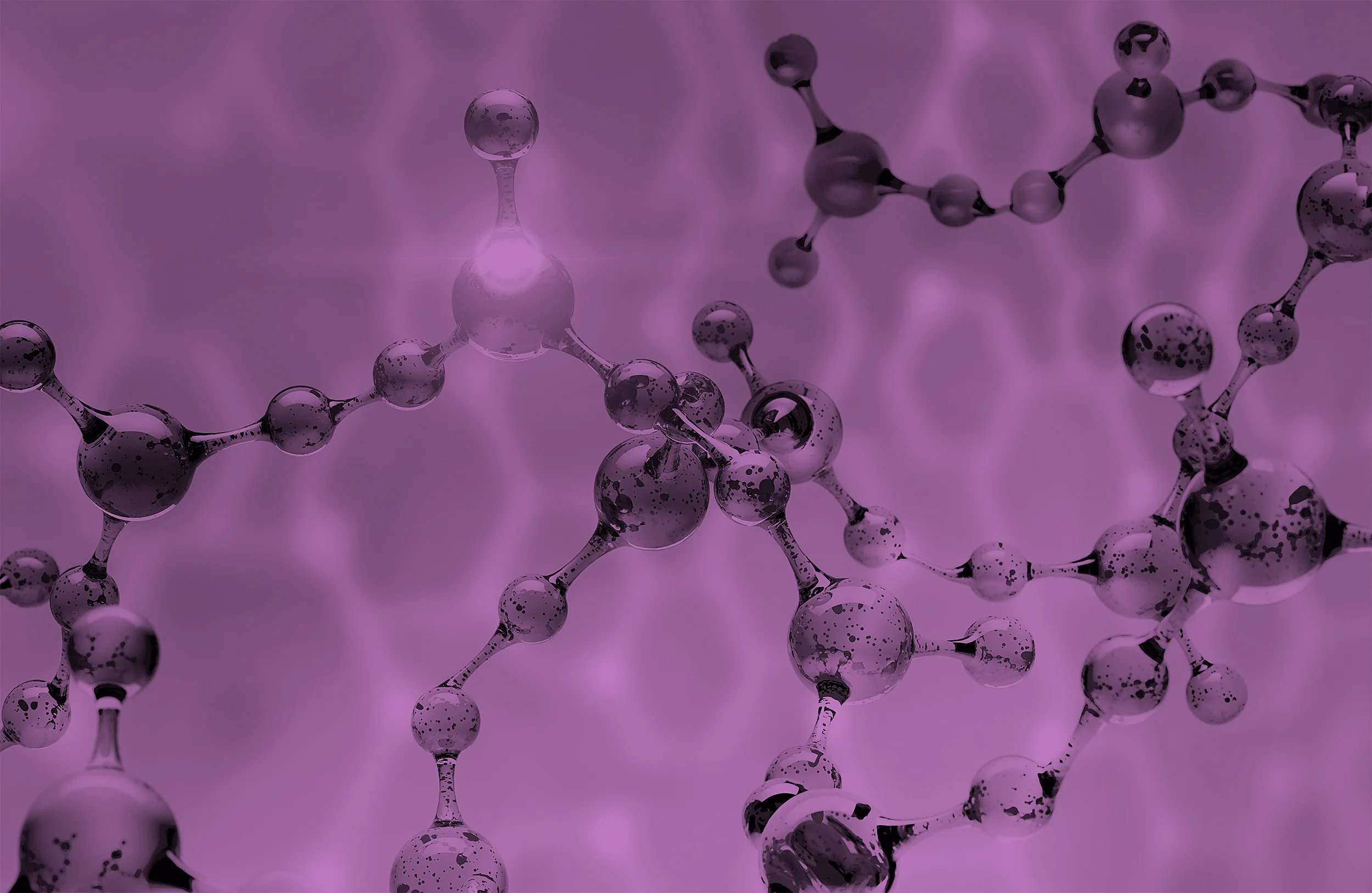 Standards Coordinating Body