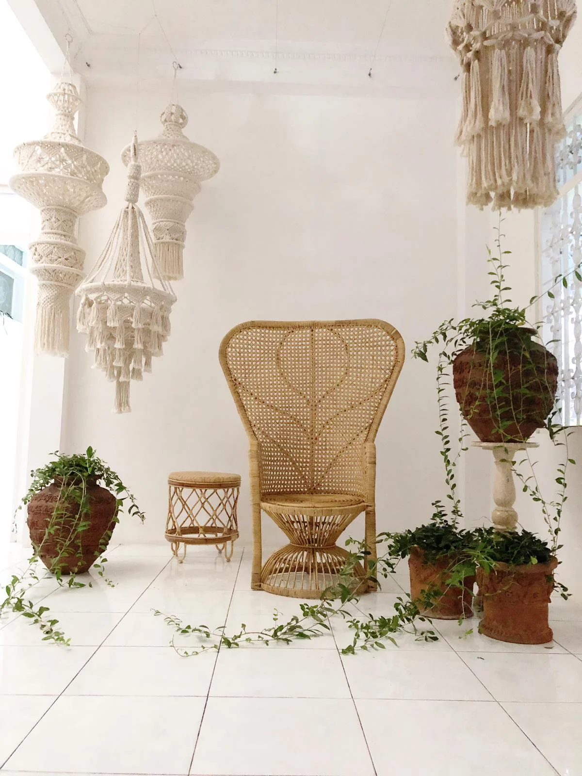 WhatsApp Image 2019-05-15 at 23.01.45.jpeg