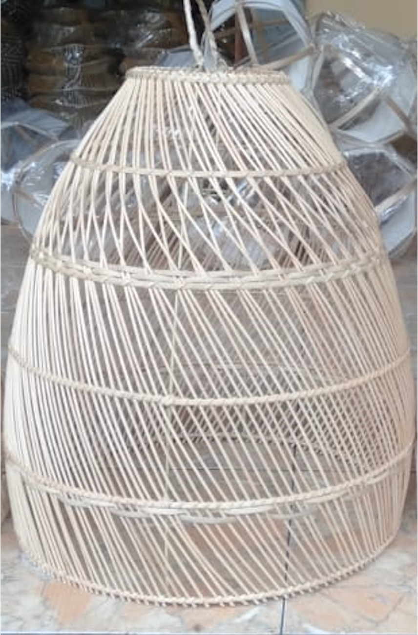 dalchini m.png