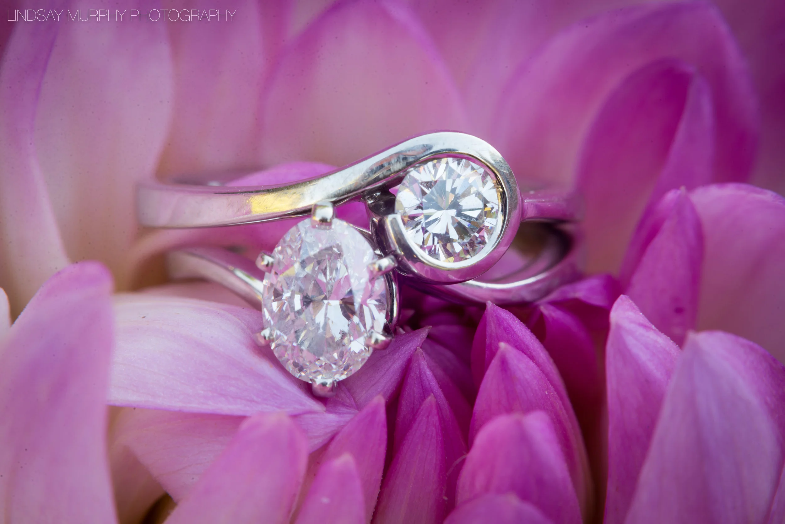 MV_Skansonia_Seattle_Wedding-61.jpg