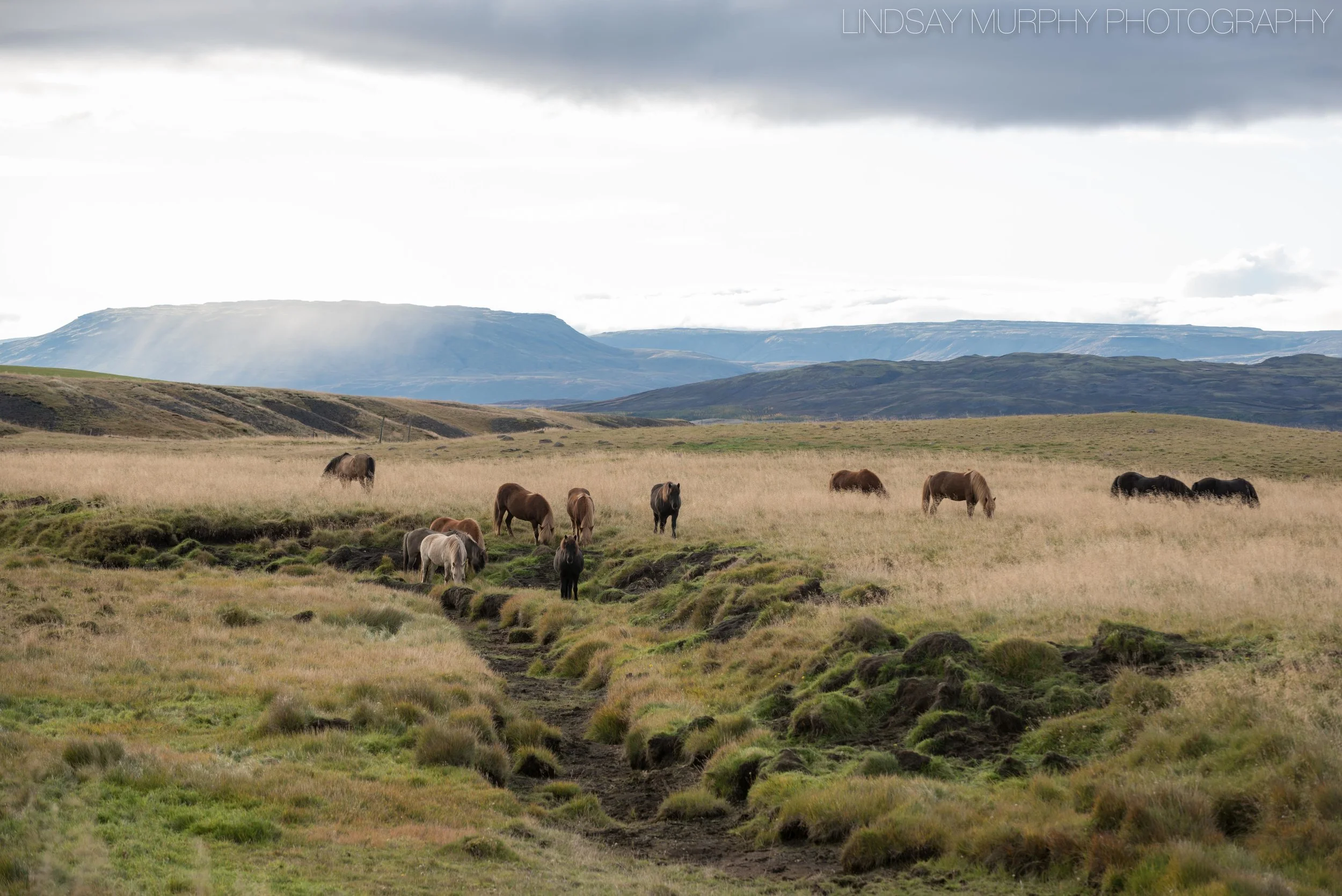 iceland-3.jpg