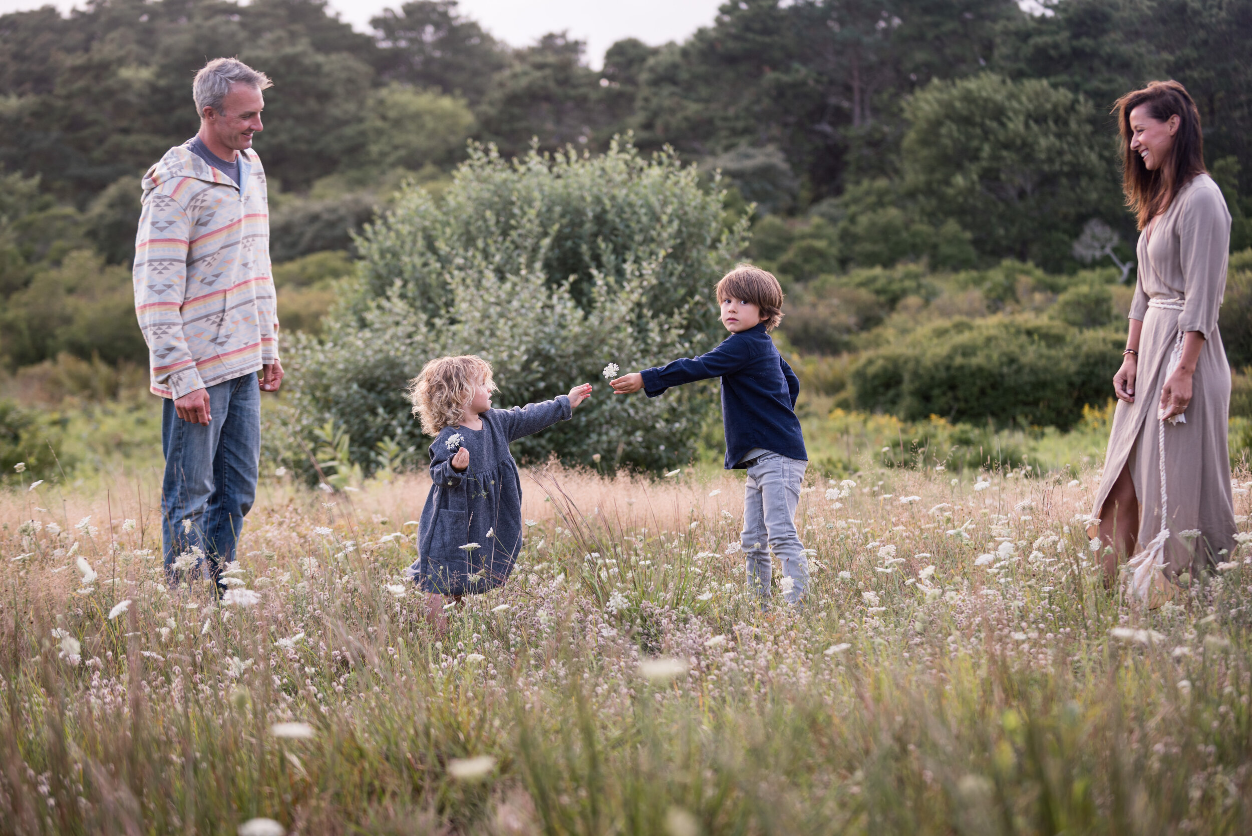 maine-family-photography-wildflowers