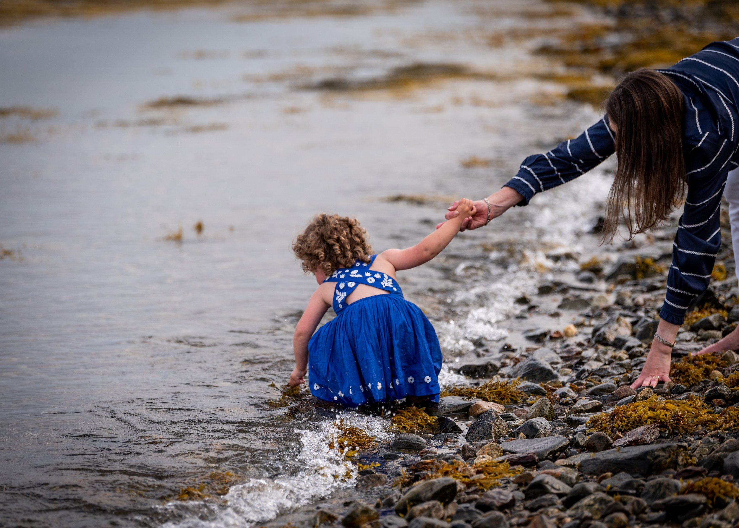 lindsay murphy photography | portland maine family photographer | Chebeague Island little girl in water with dress.jpg