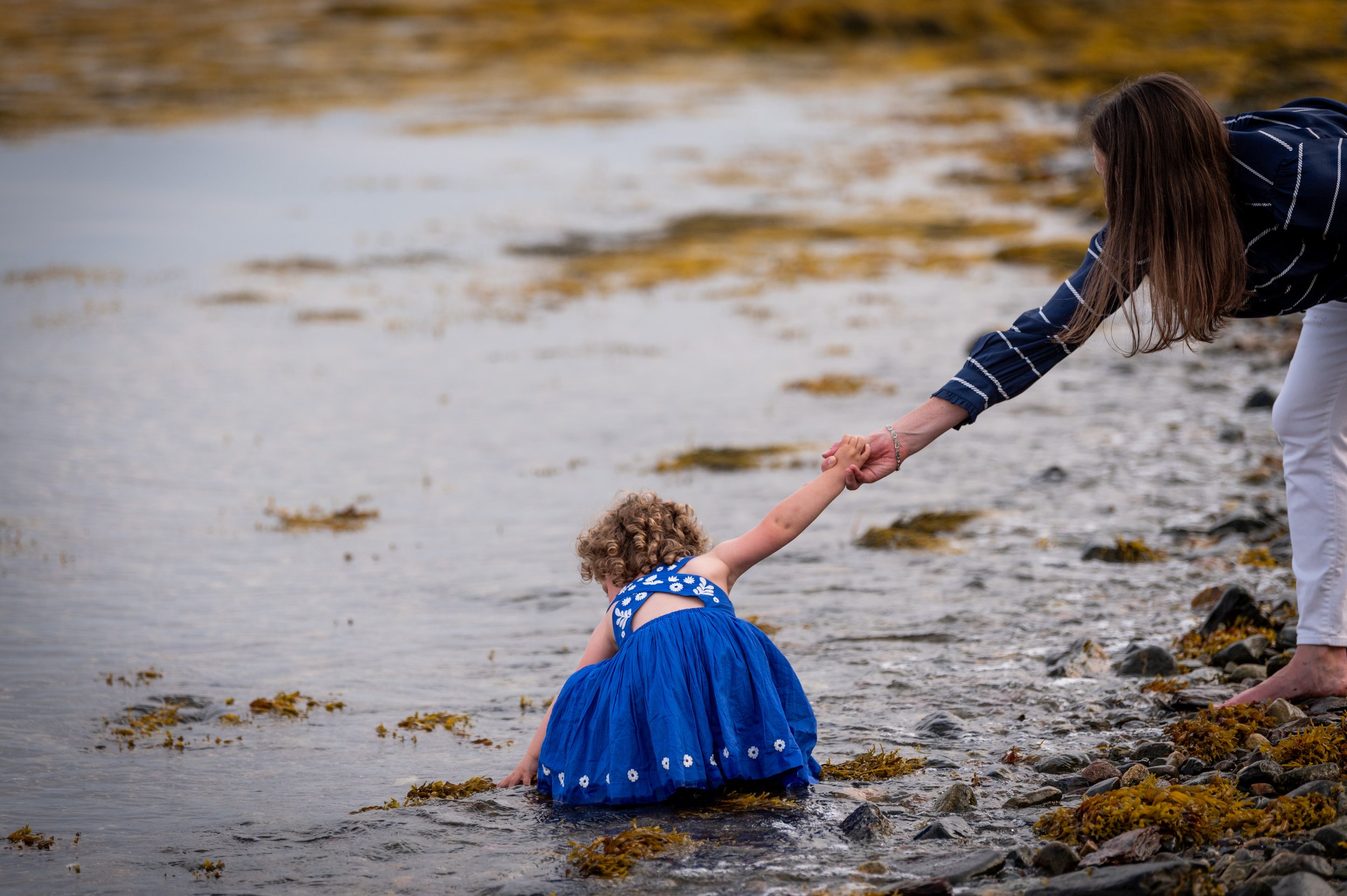lindsay murphy photography | portland maine family photographer | chebeague island little girl in water.jpg