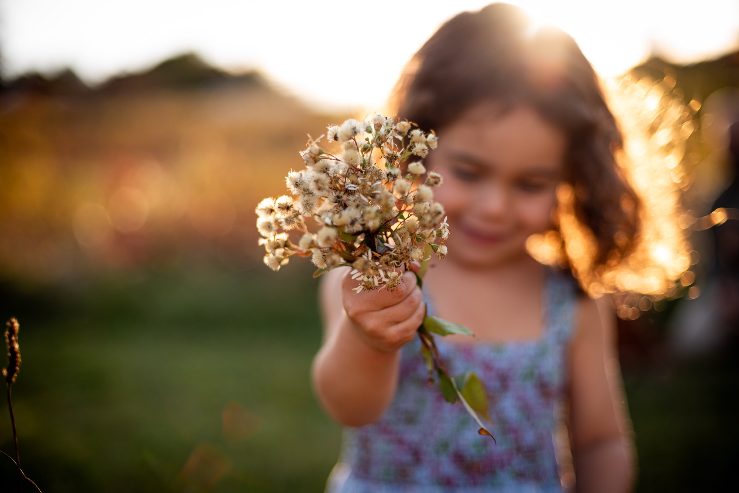 lindsay murphy photography | portland maine family photographer | fall wildflower field child playing golden hour.jpg