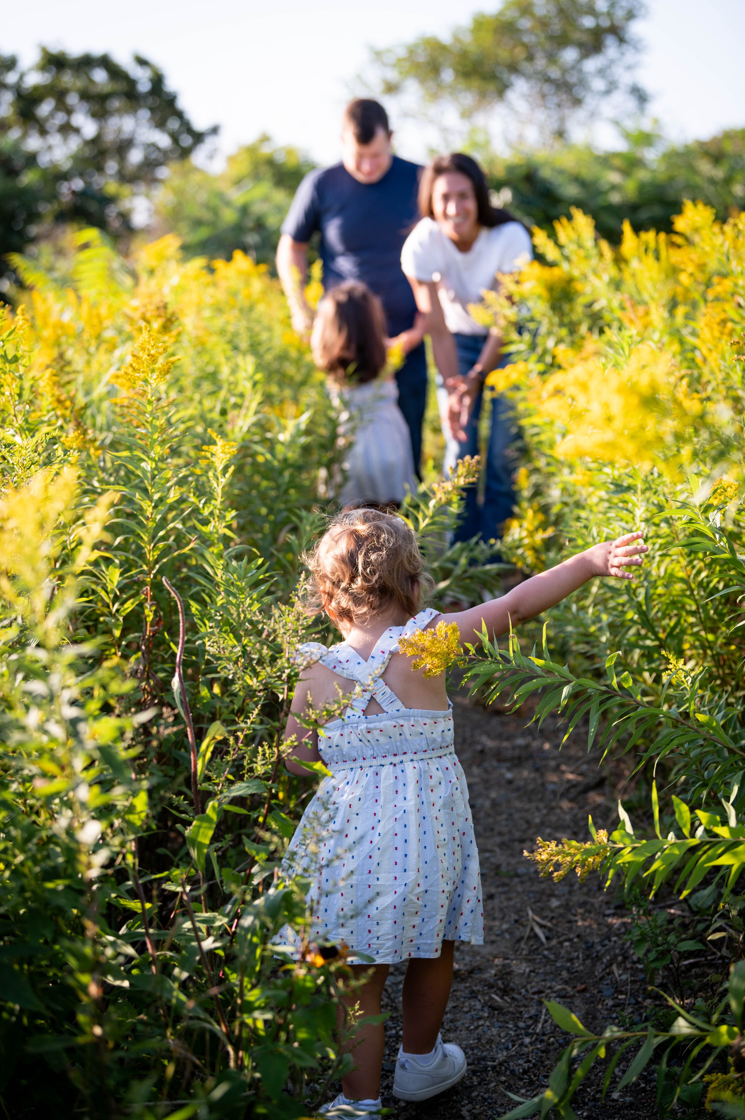 lindsay murphy photography |portland maine family photographer | kids skipping through wildflowers.jpg