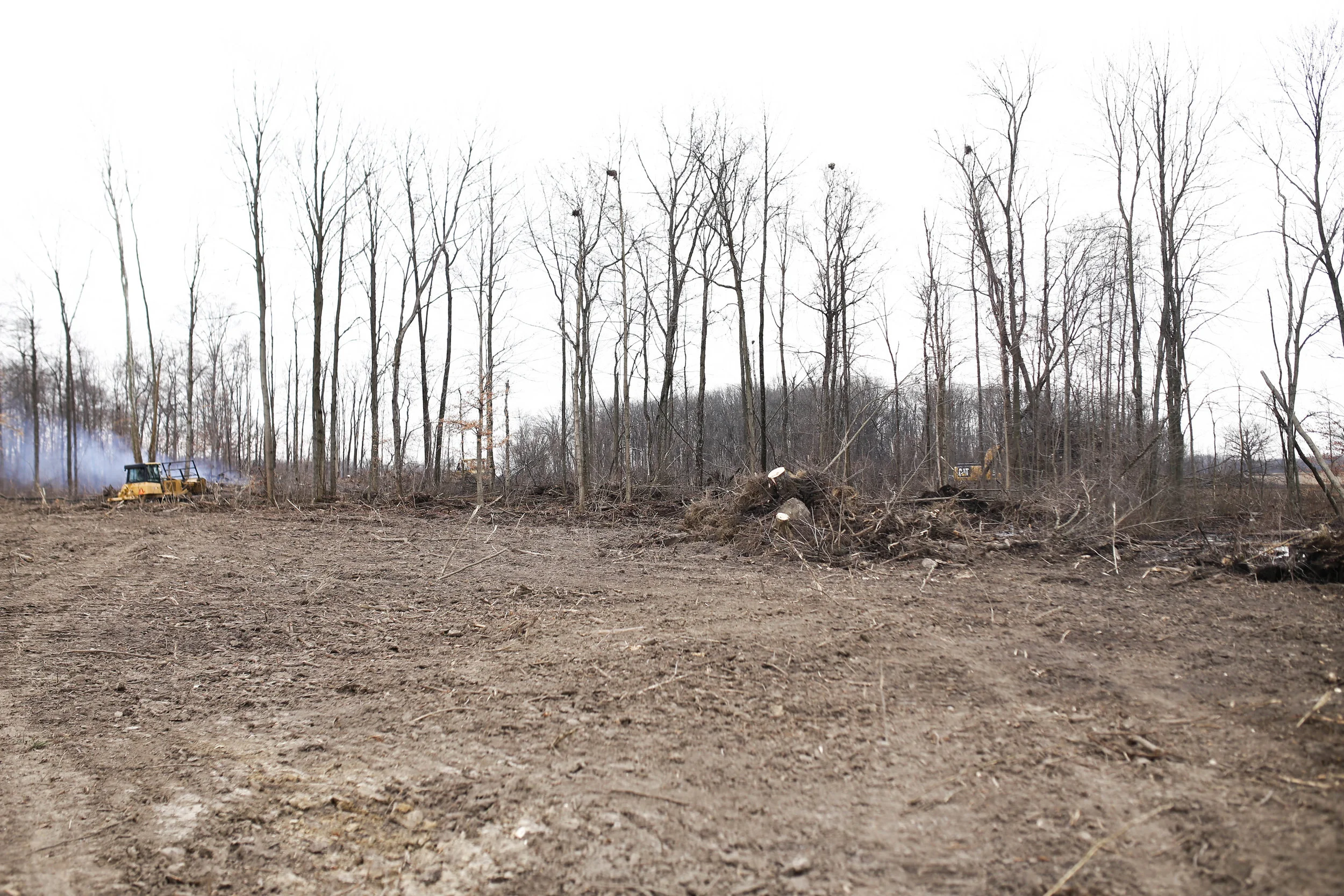  Tree removal project at St. Rt. 29 and Deam Rd, Sidney.&nbsp; 