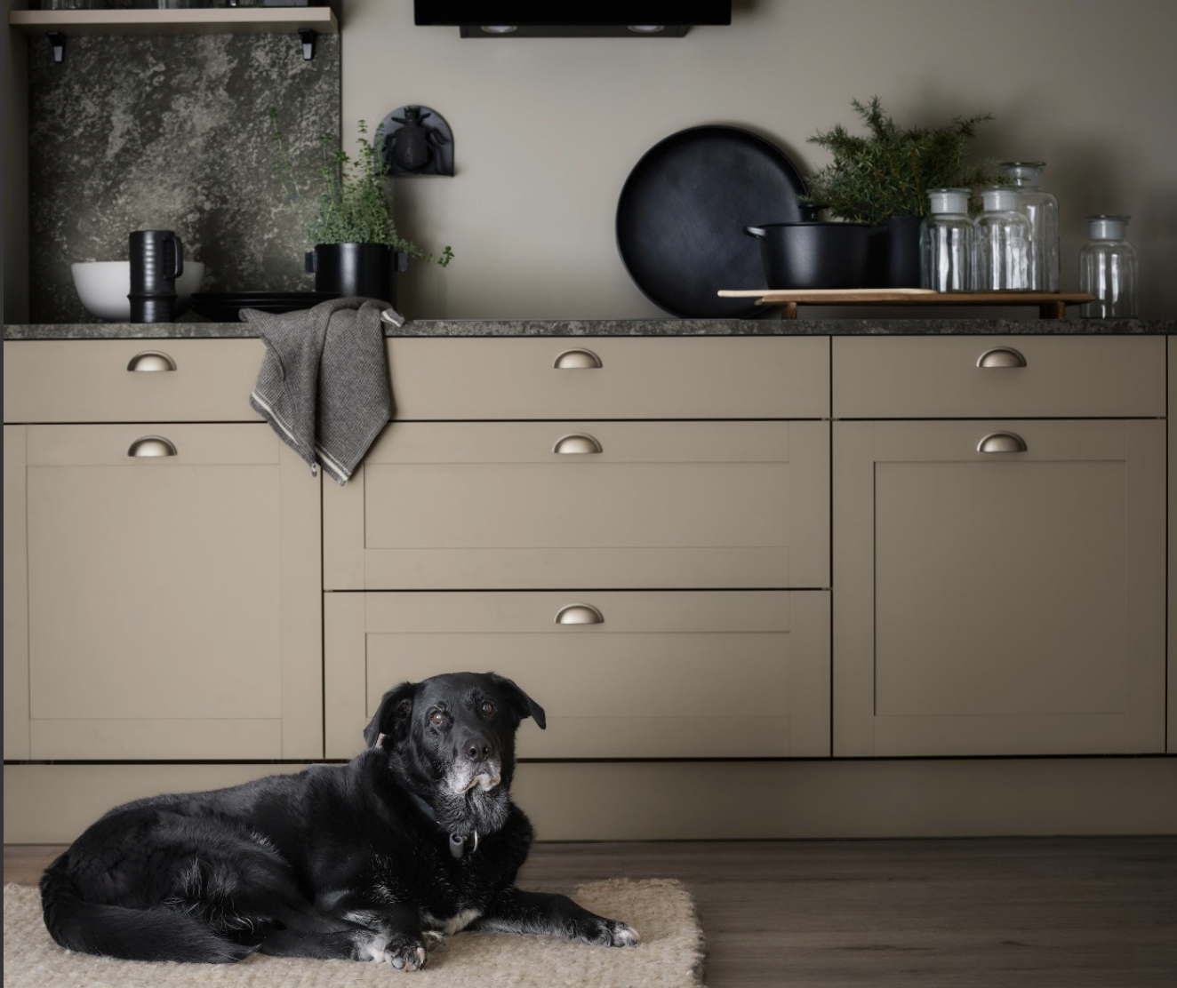 Screenshot 2026-03-11 at 4.14.22 PM.png