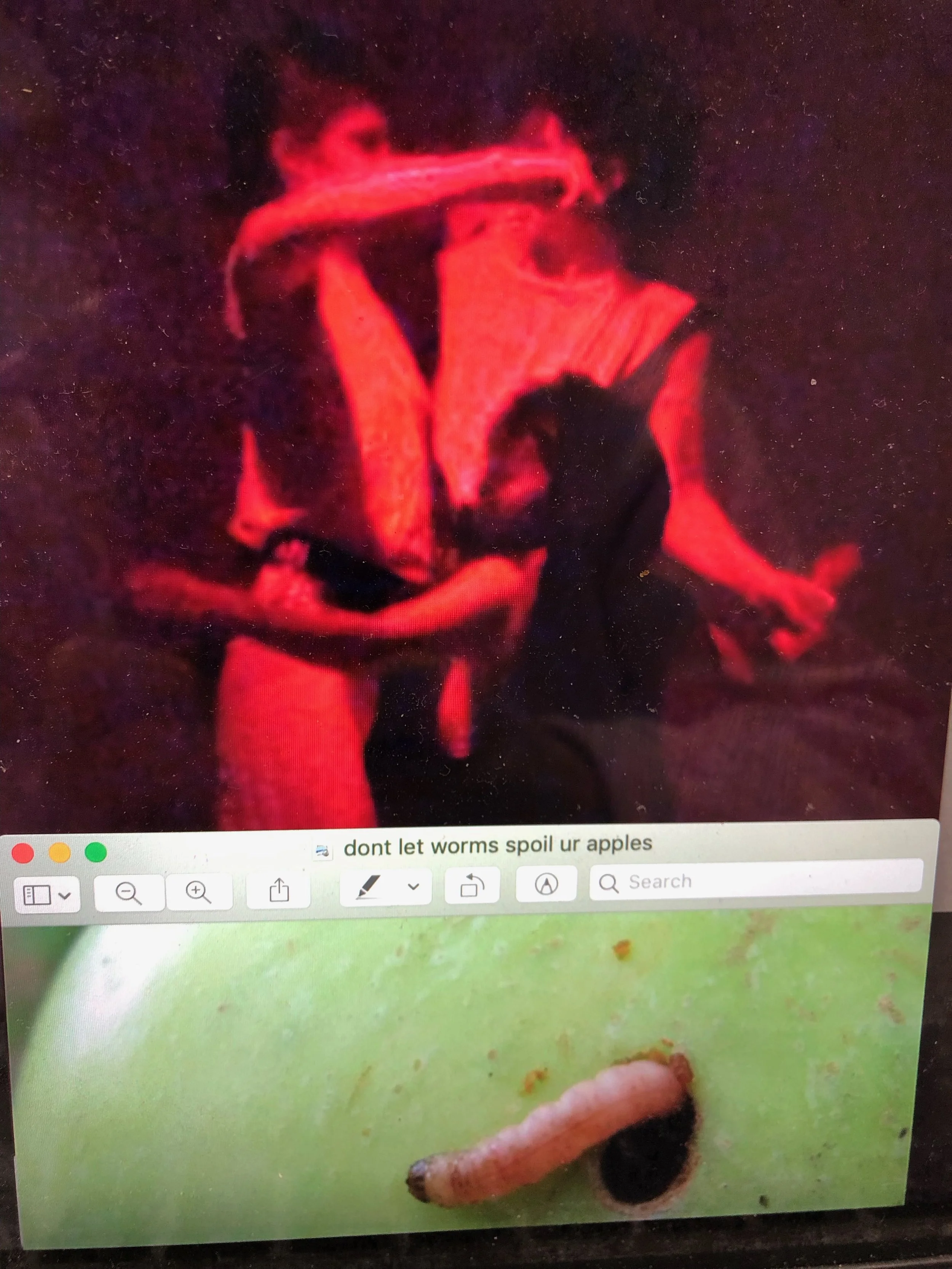 don't let worms spoil your apples