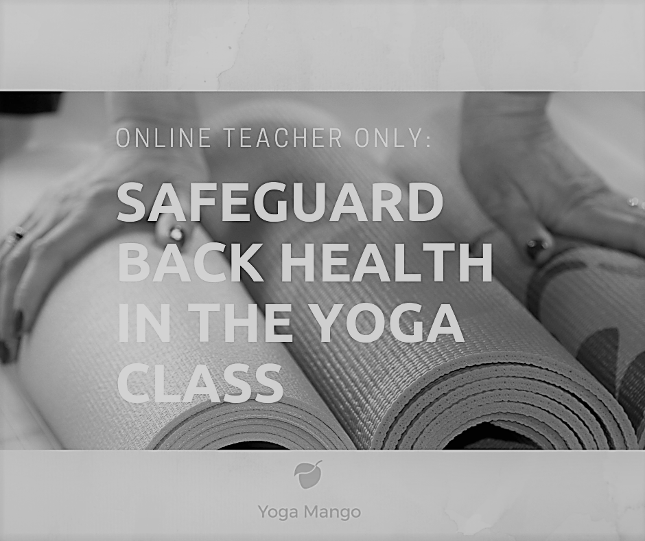 OnlineTeacherOnlyBacks.png