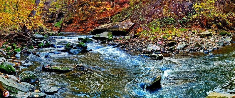 Tinker's Creek Below Great Falls - CLR