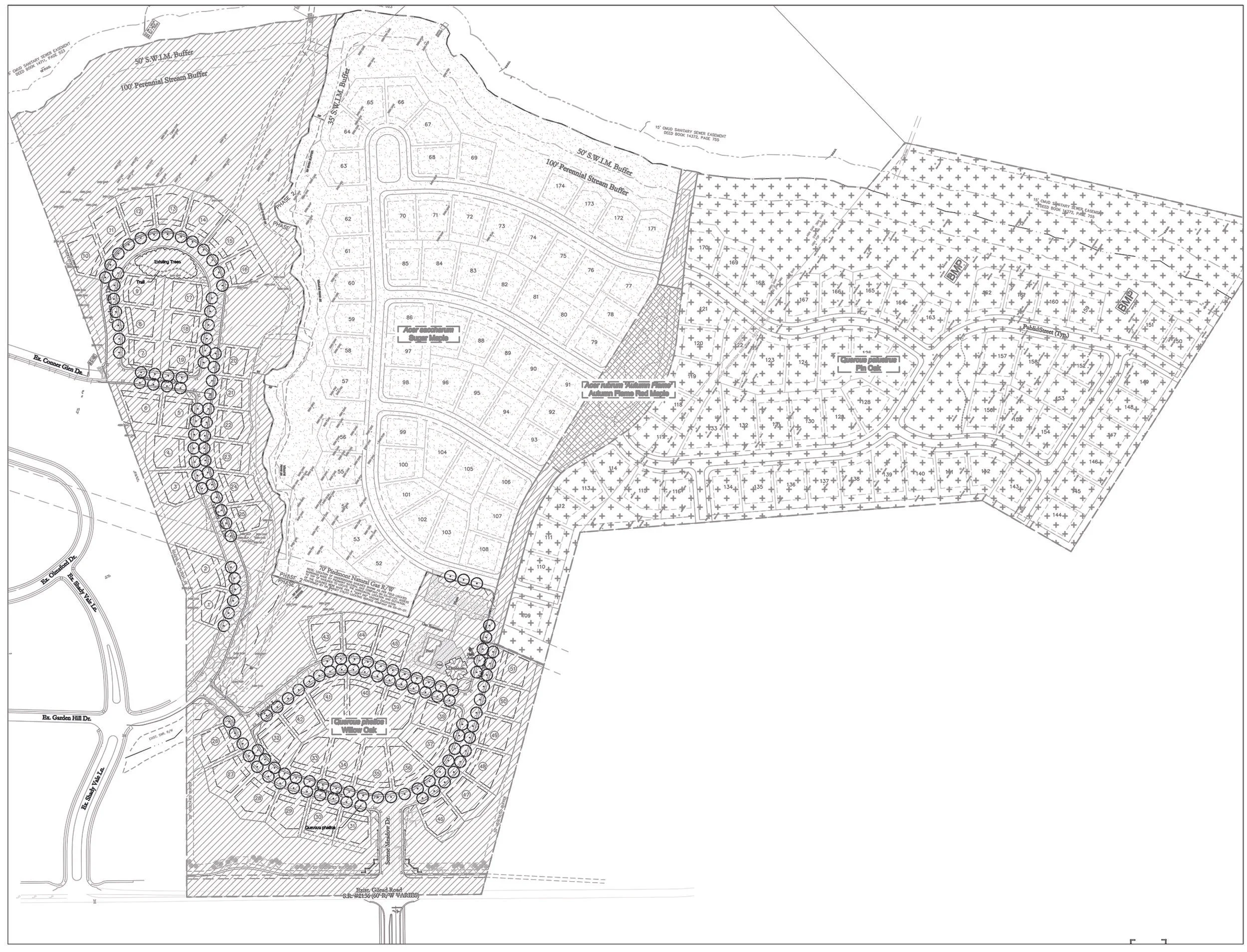 Overall Site Planning, Layout, & Phasing