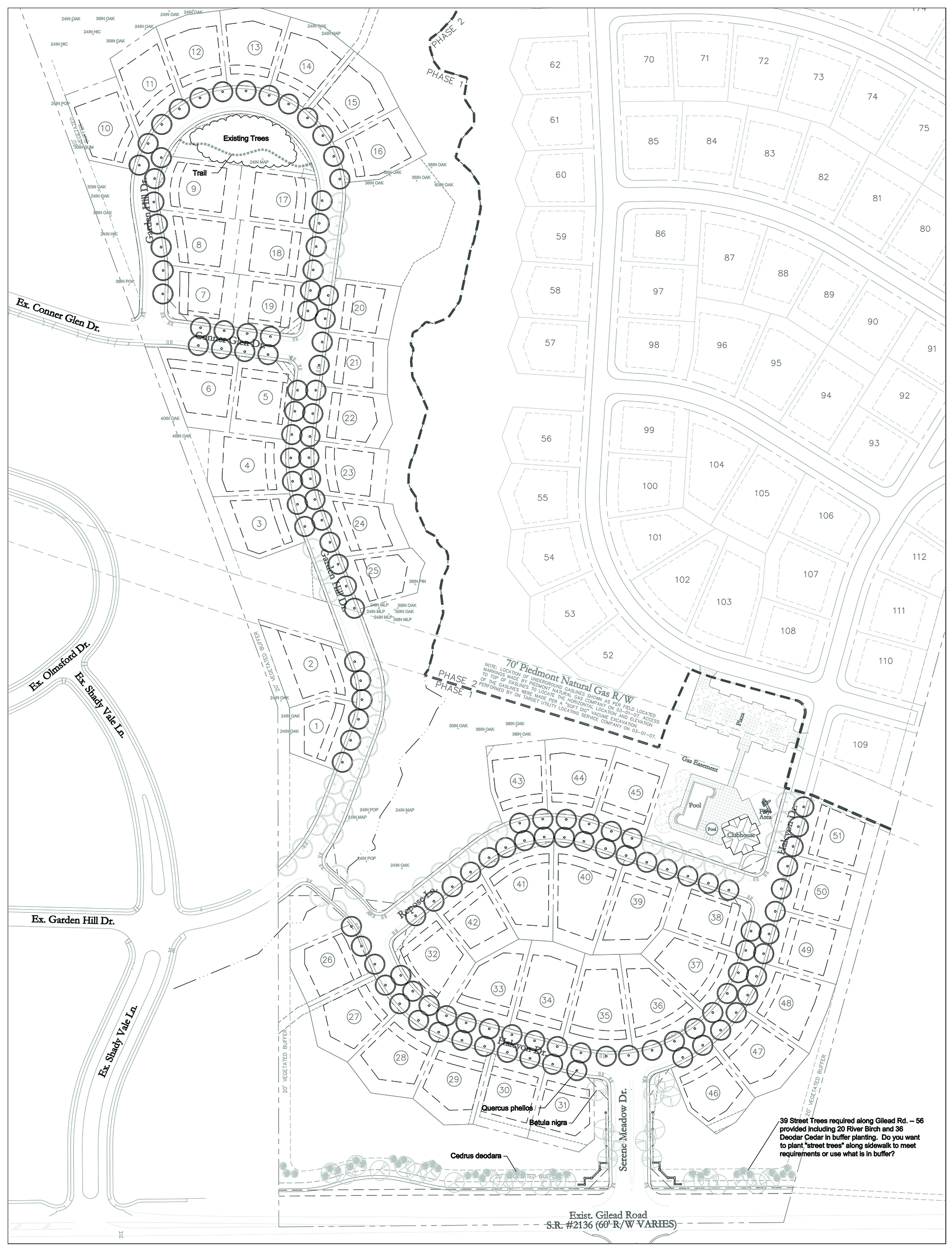 Street Tree Planning 