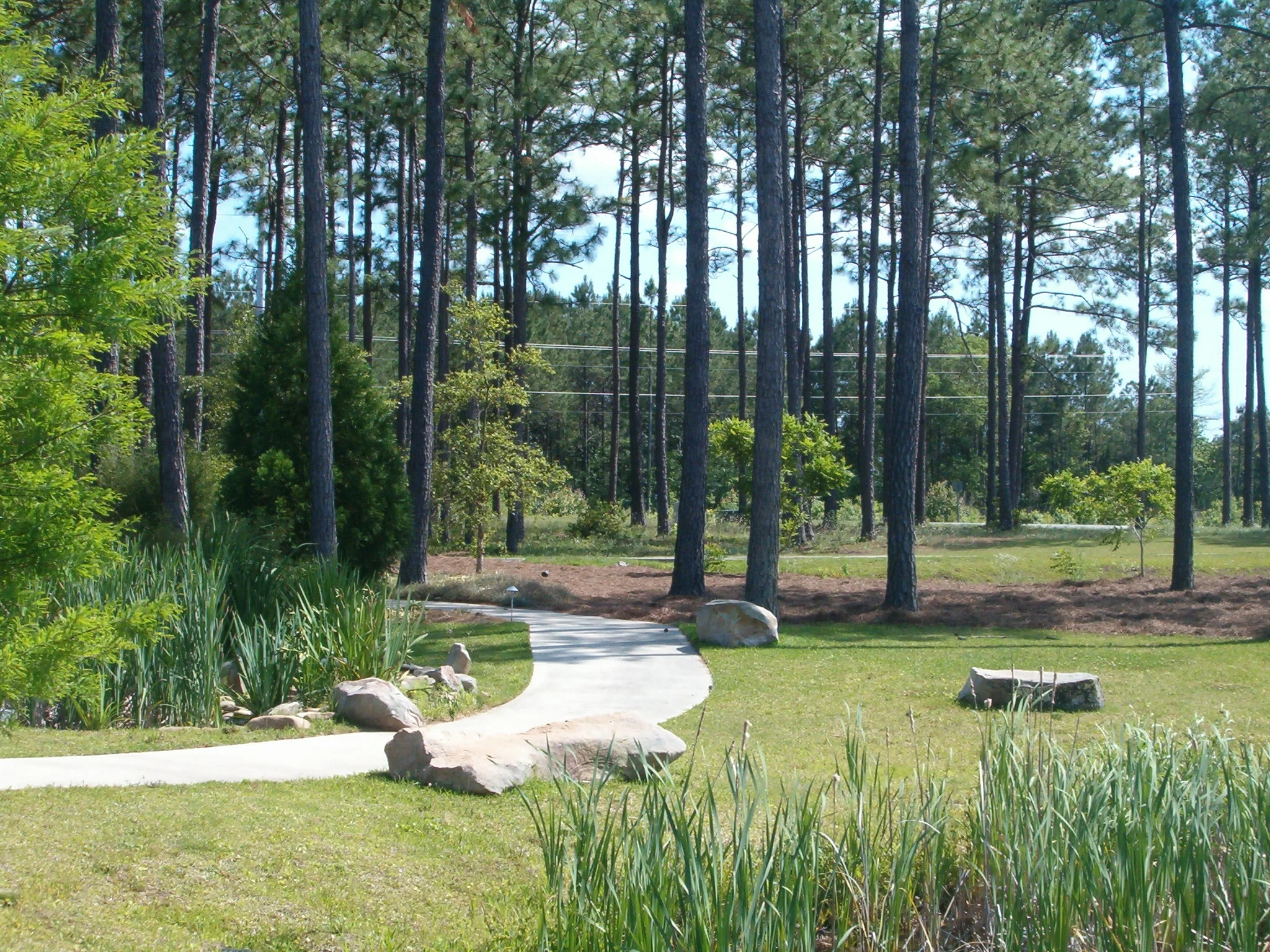 victory garden 006.jpg