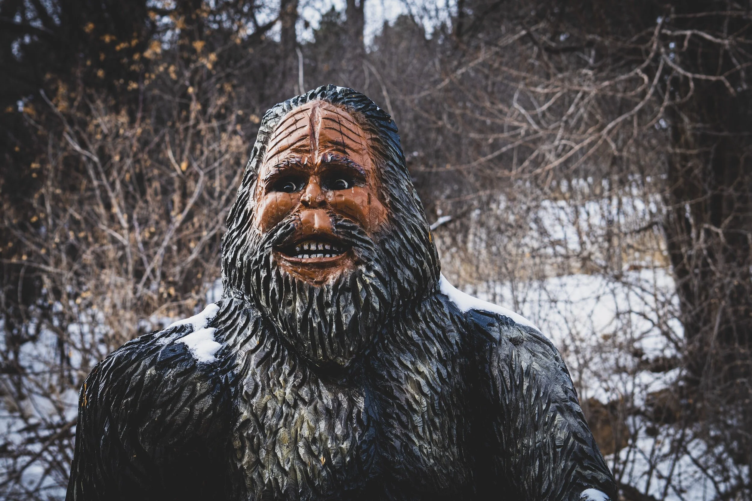 Is Bigfoot a Paranormal Phenomenon - A Shamanic View