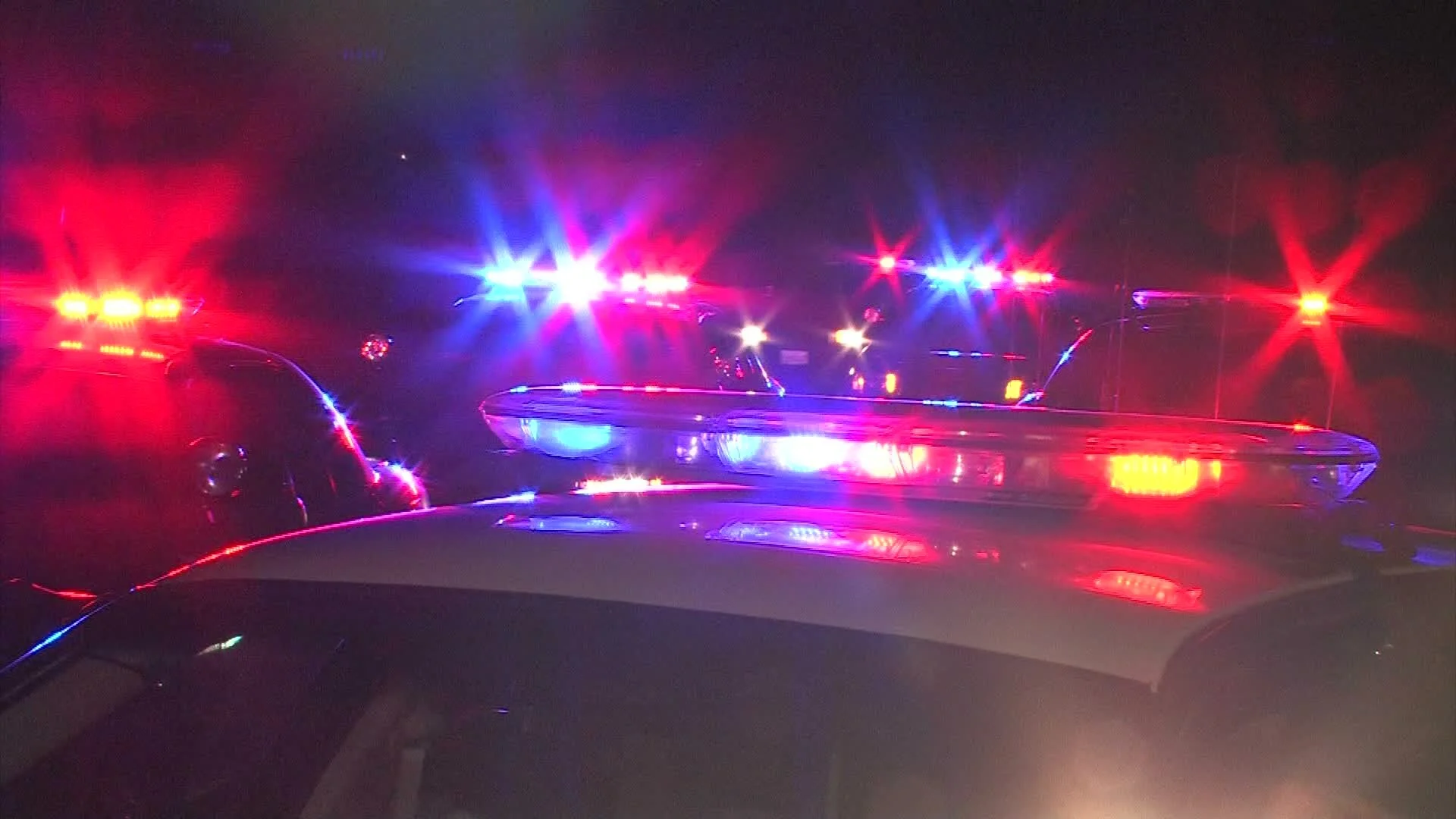 Policing Project Co-Founders Join Coalition to Release Urgent Report on Police Reform