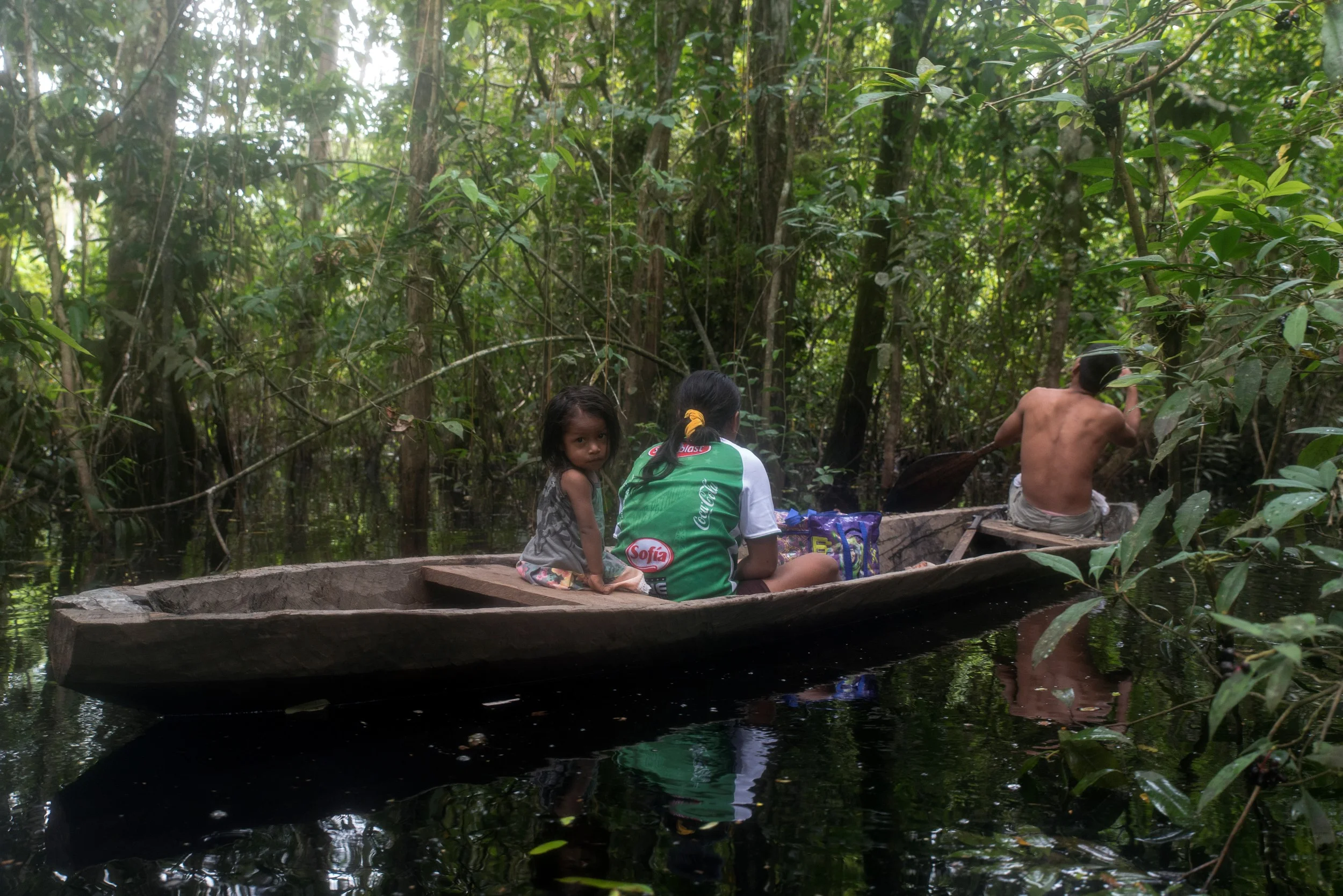 Peruvian Amazon, near Iquitos, Peru