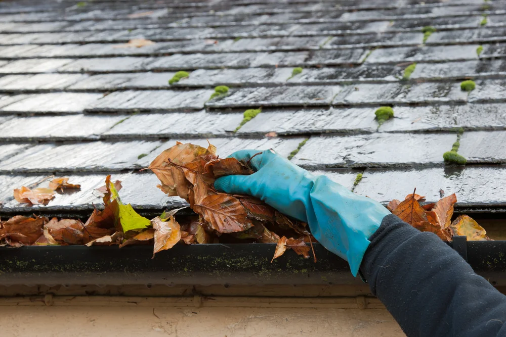 Maintaining Your Gutters