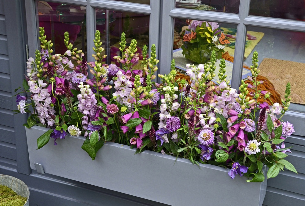 Window Box Planters