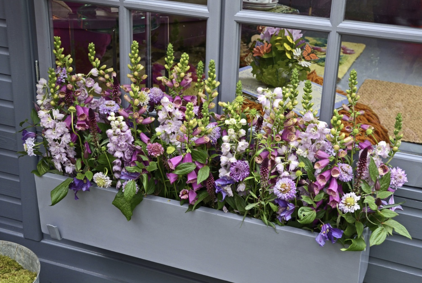 How Window Box Planters Can Add Spring Color To Your Home S Exterior Wallside Windows