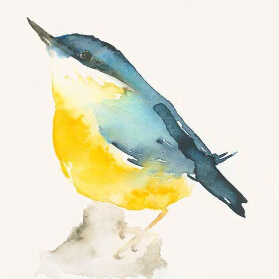 bird.jpg