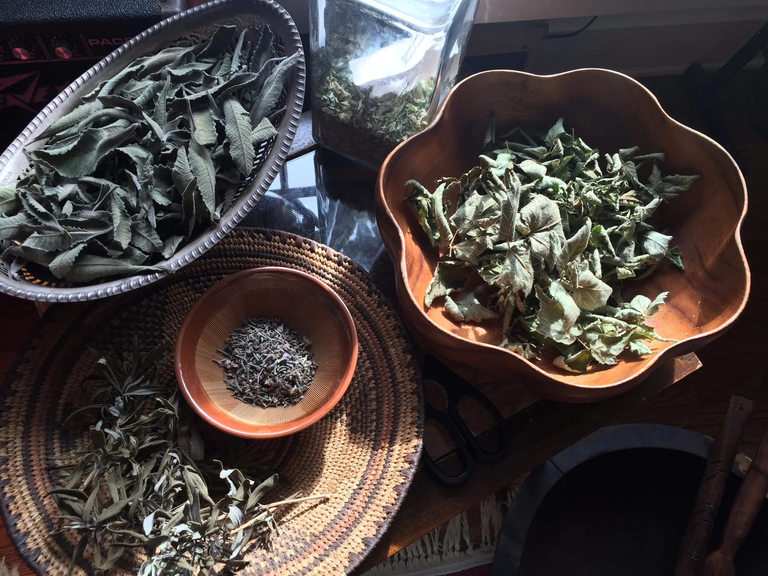 herbs in bowls at ericas.jpg
