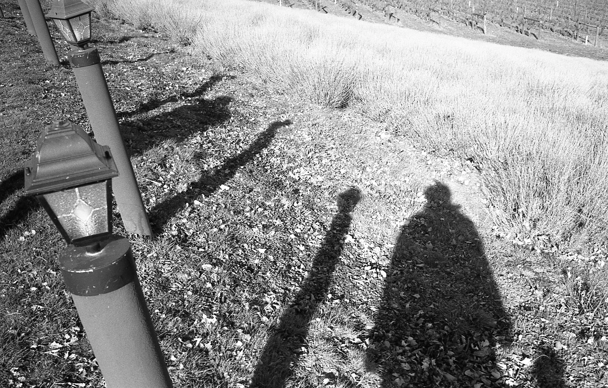 img023.jpg