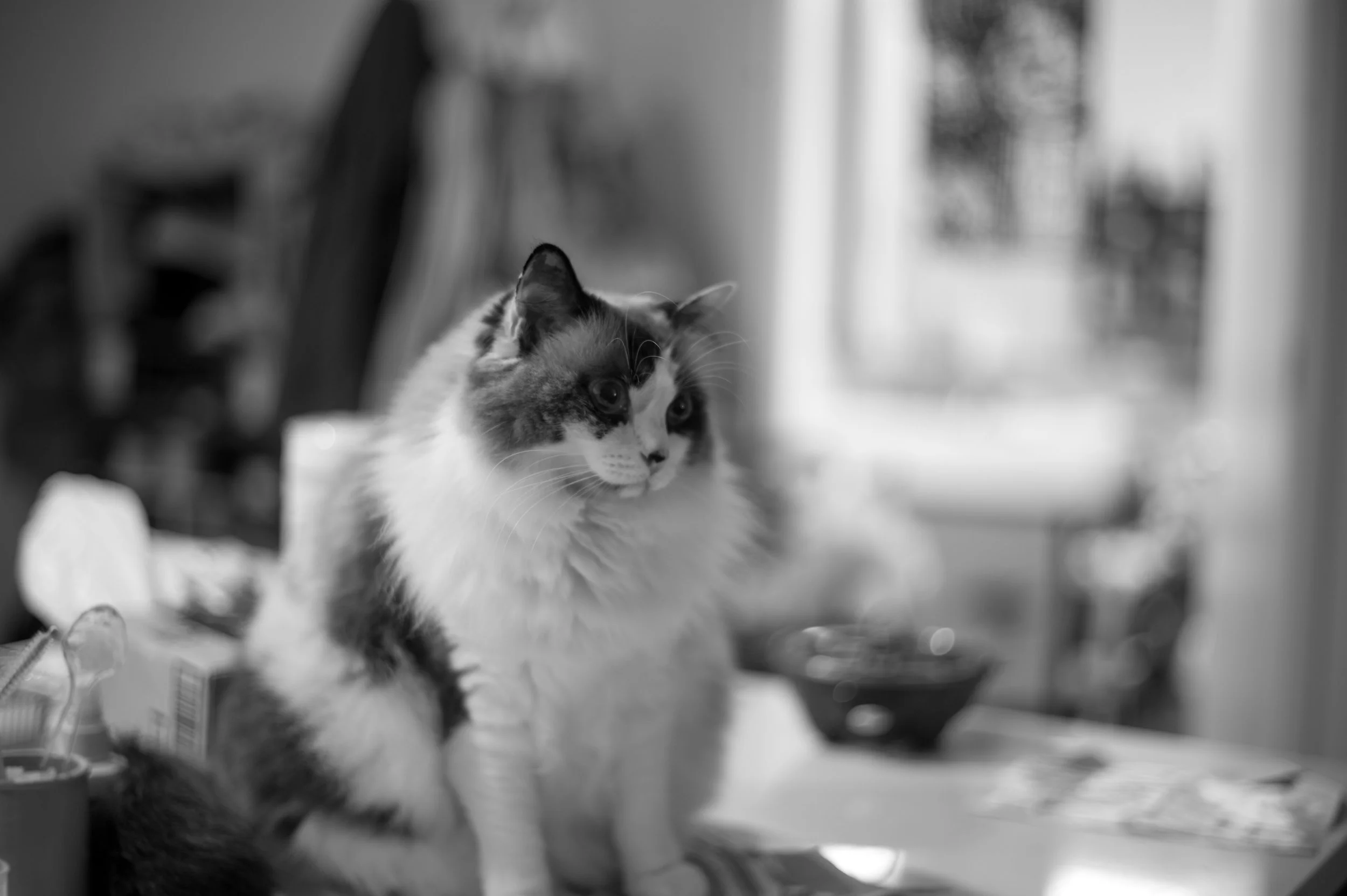 L1101396.jpg