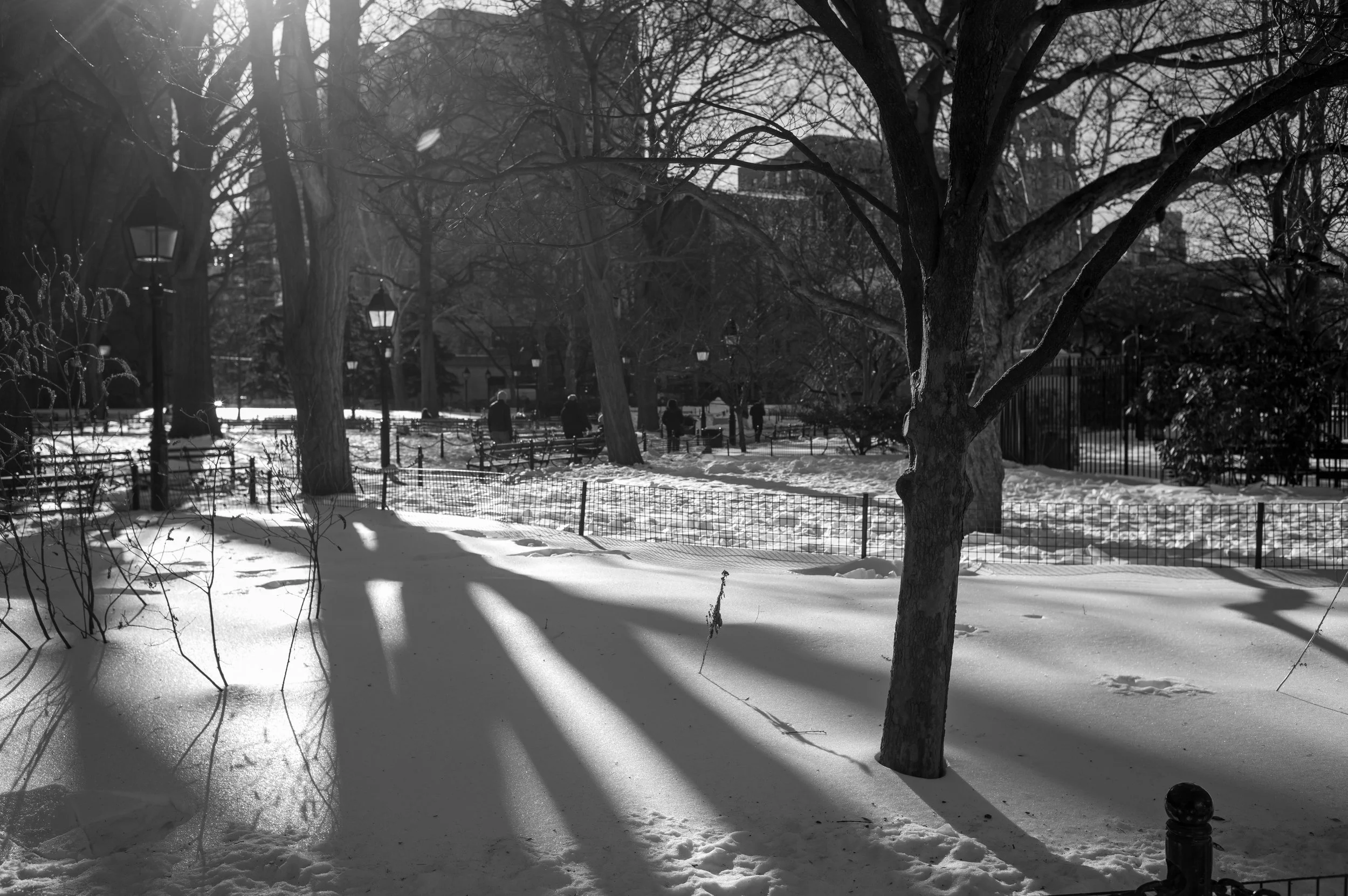 L1101578.jpg