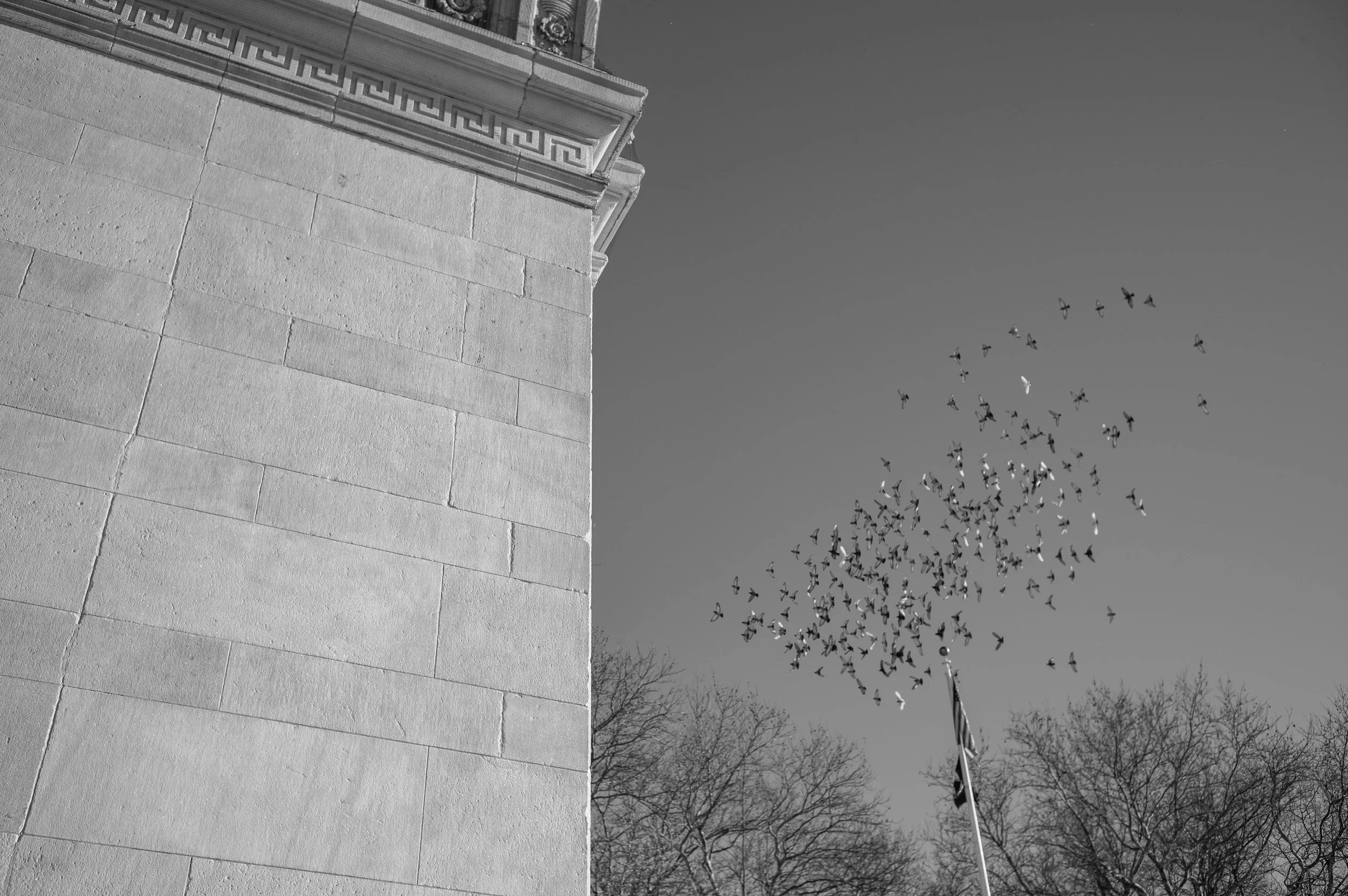 L1101580.jpg