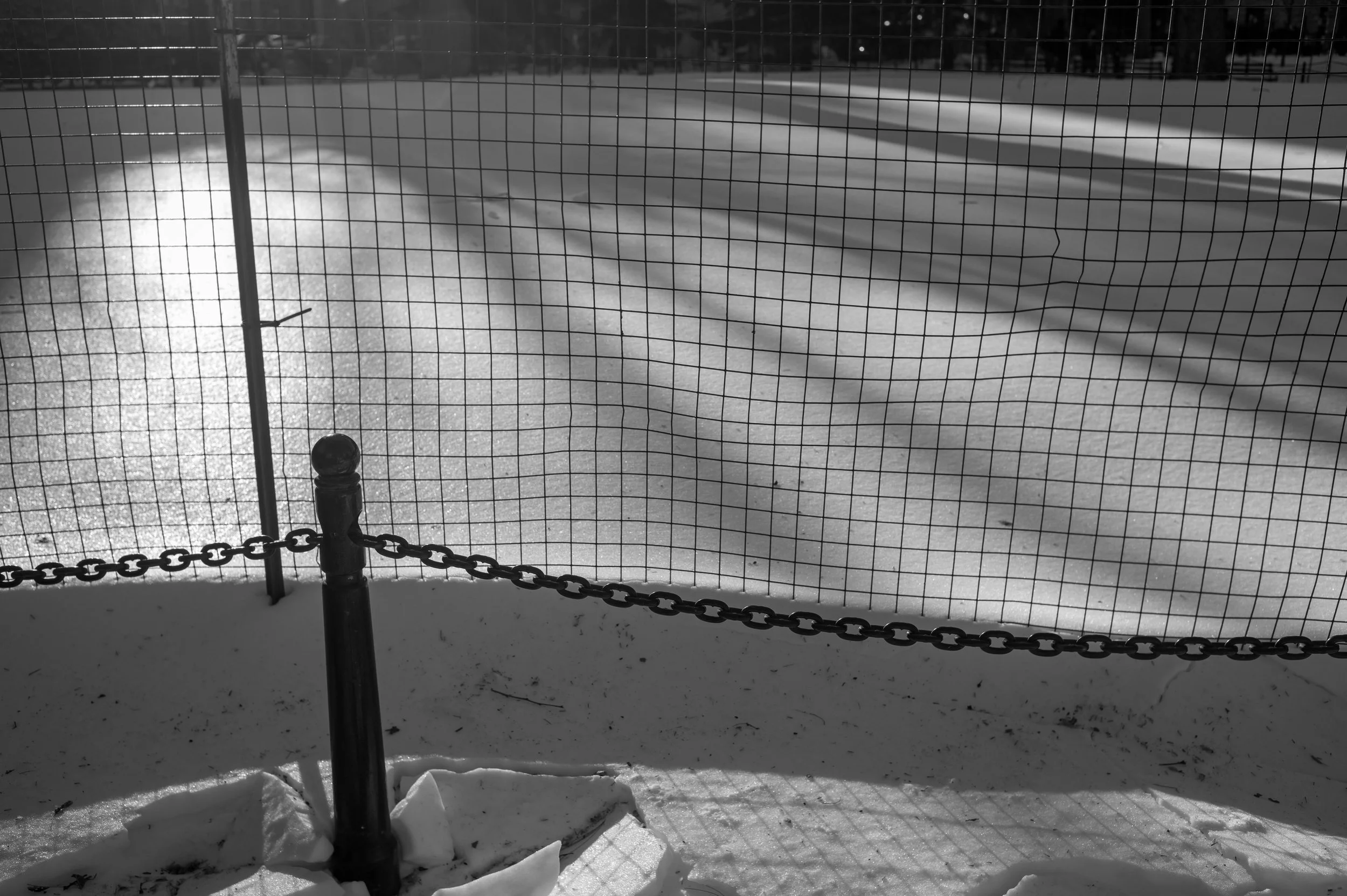L1101590.jpg