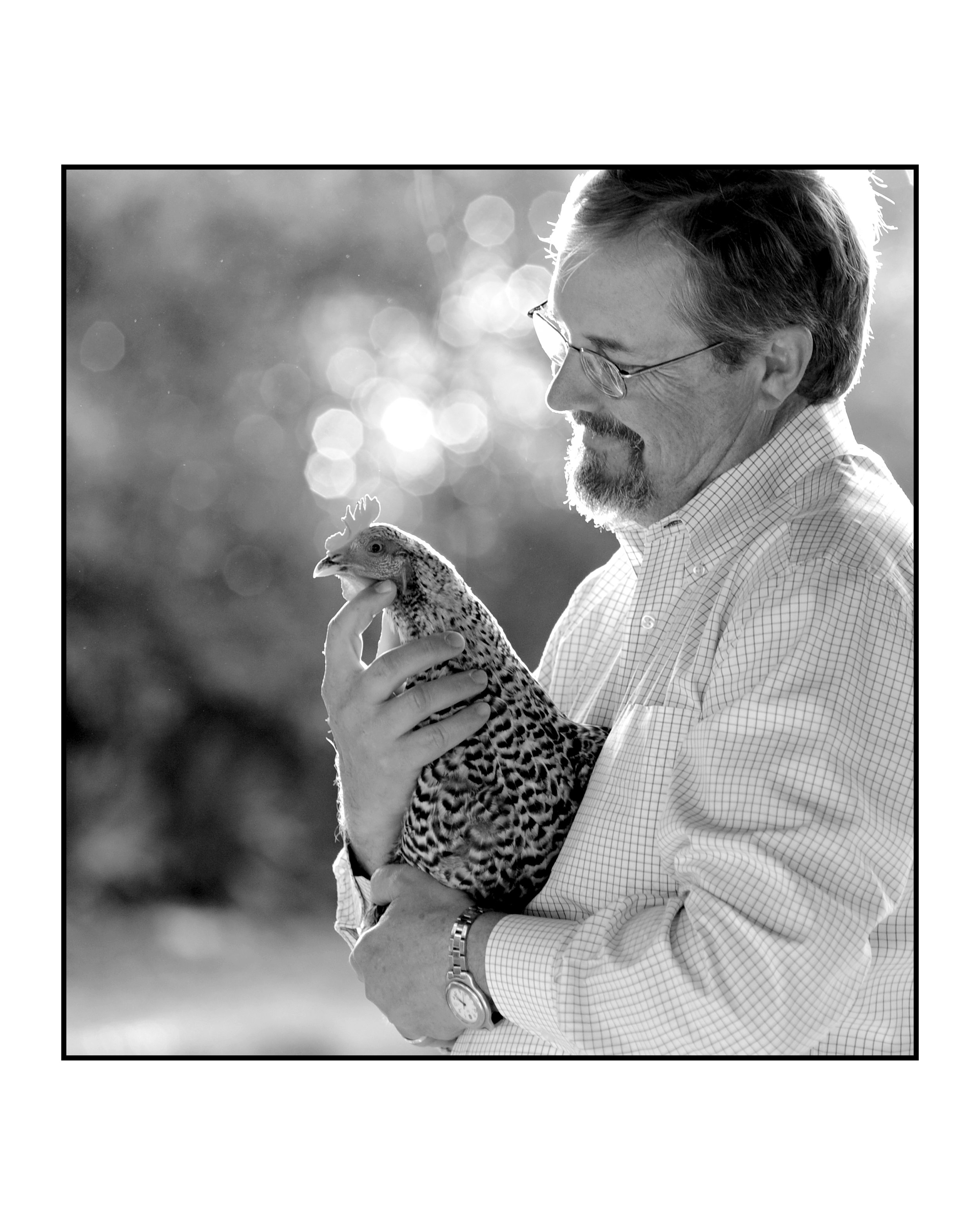 buddy and chicken.jpg