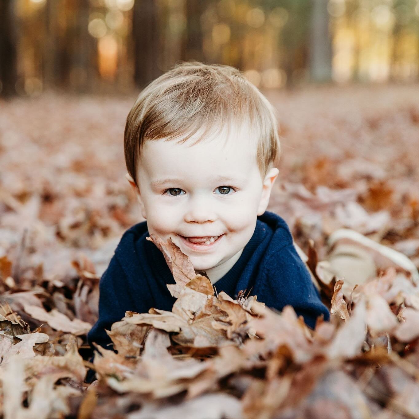 Who doesn&rsquo;t love a cute kiddo laying in the leaves?! 😆 🥰
#cartersvillephotographer #kennesawphotographer #acworthphotographer