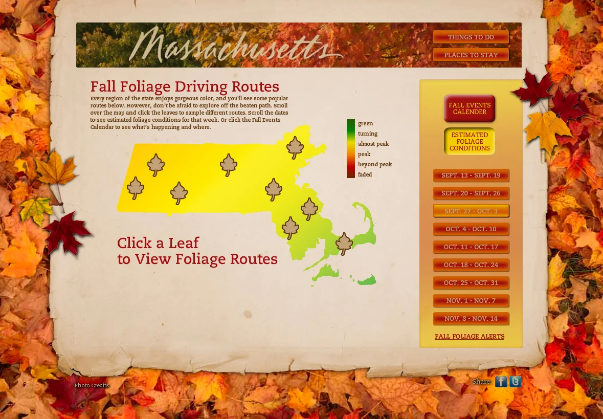 MOTT_fallfoliage14.jpg
