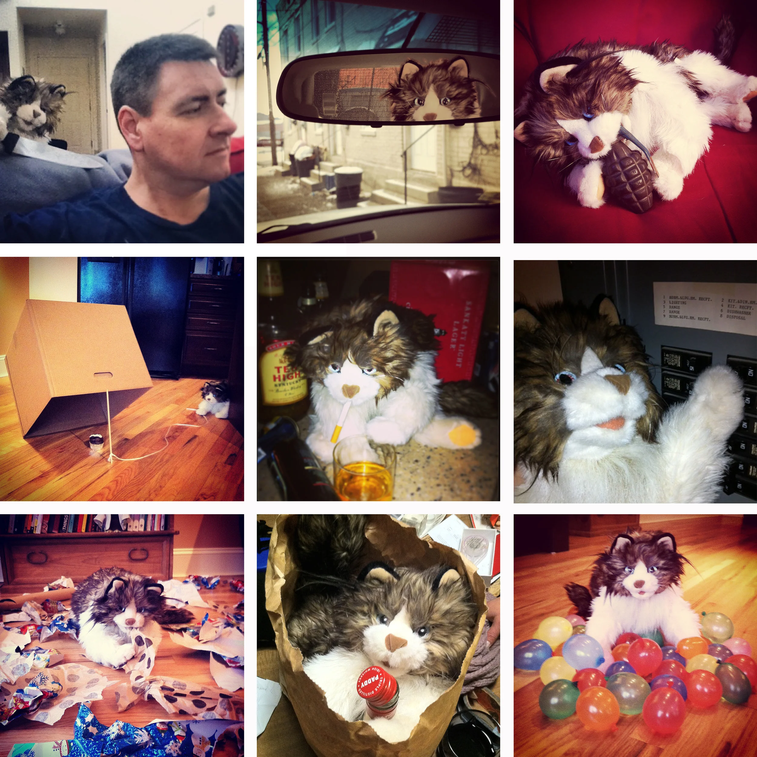 Instagram_cat.jpg
