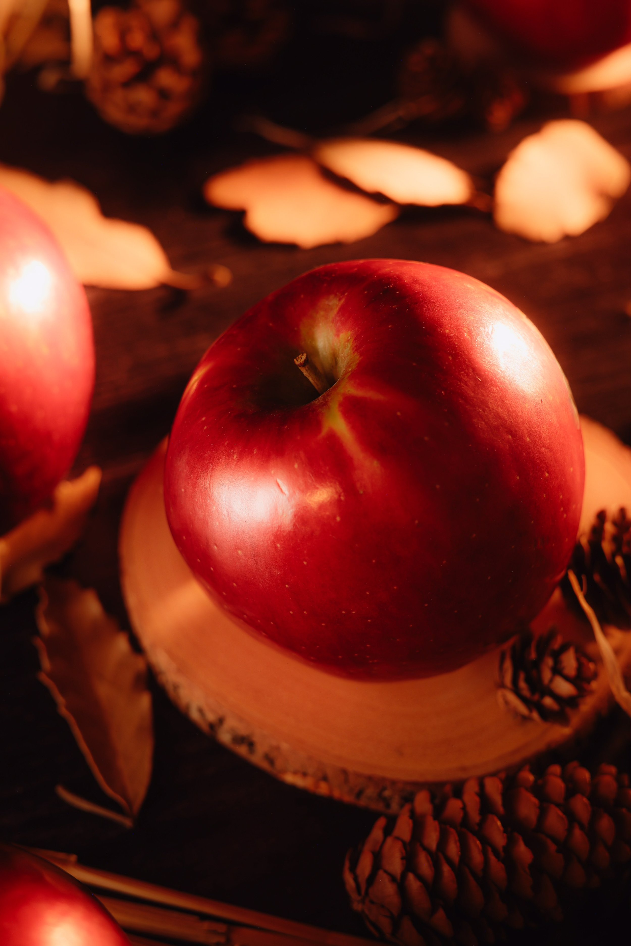 Product Photo-10.jpg