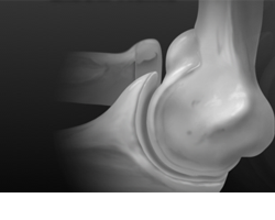 Elbow Products